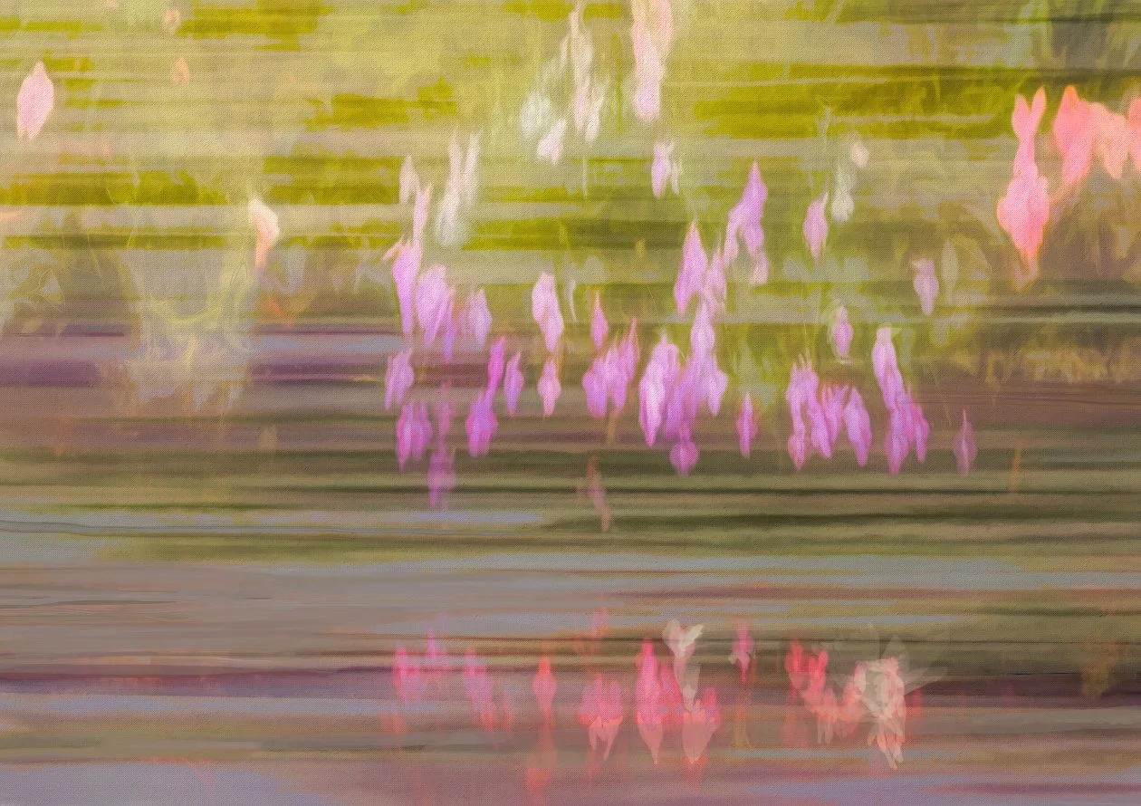 Garden Dance