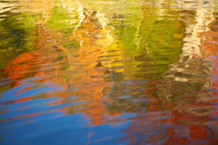 Fall Colours, Muskoka