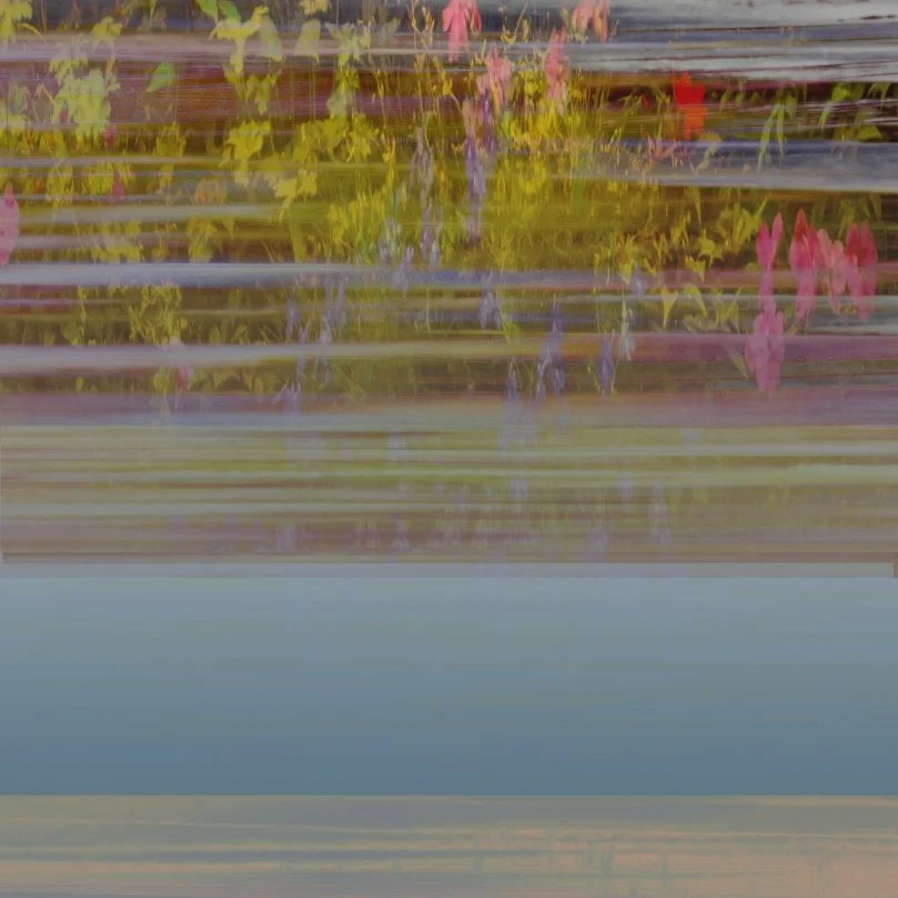 Monet's Garden Sunset