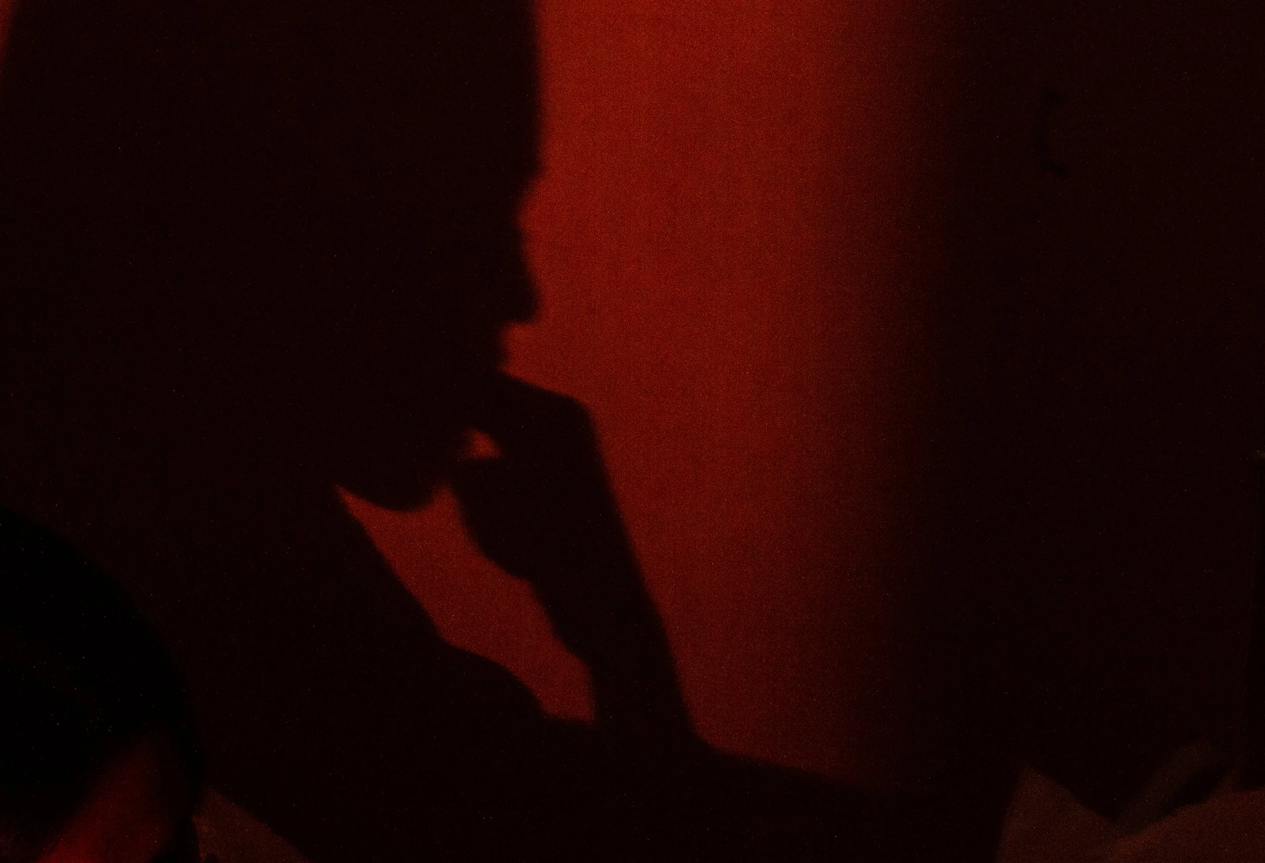 "No" was a boundary, not a hesitation, but the hand came anyway, suffocating the word in her throat, freezing her thoughts in mid-air, and turning a voice meant to be heard into a quiet trapped ghost inside her own chest.