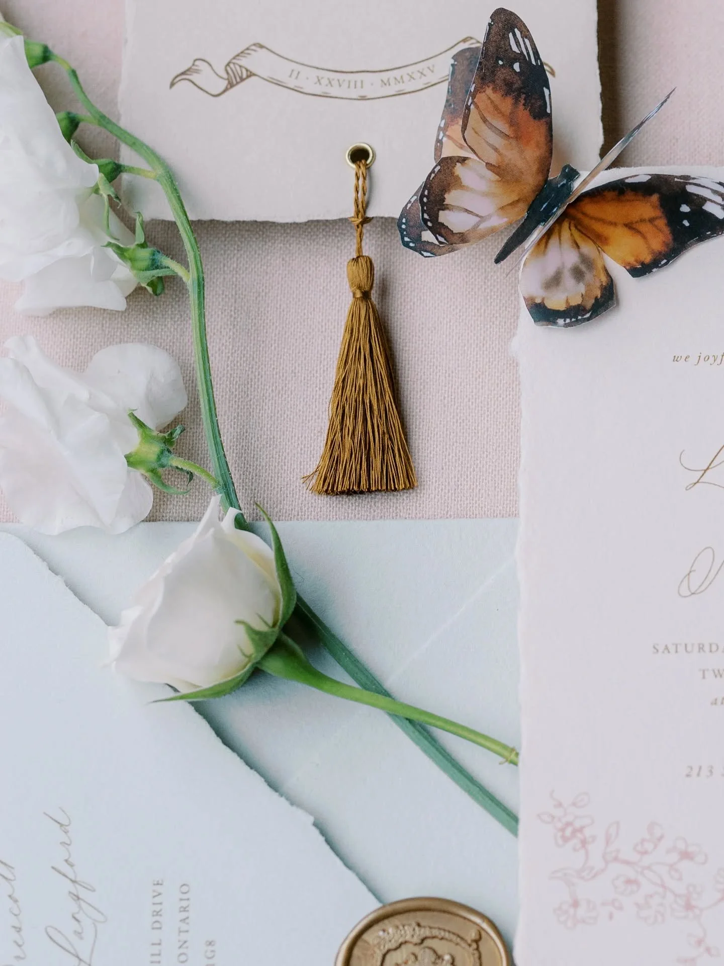 the details...🤍
planner & designer: @zelieco.weddings
photographer: @daniellecargillphotography
stationery: @paperpalette
florals: @theoakandivy
candles: @bareandcobytee
tabletop rentals: @etiquette.and.co
linens & chairs: @simplybeautifuld