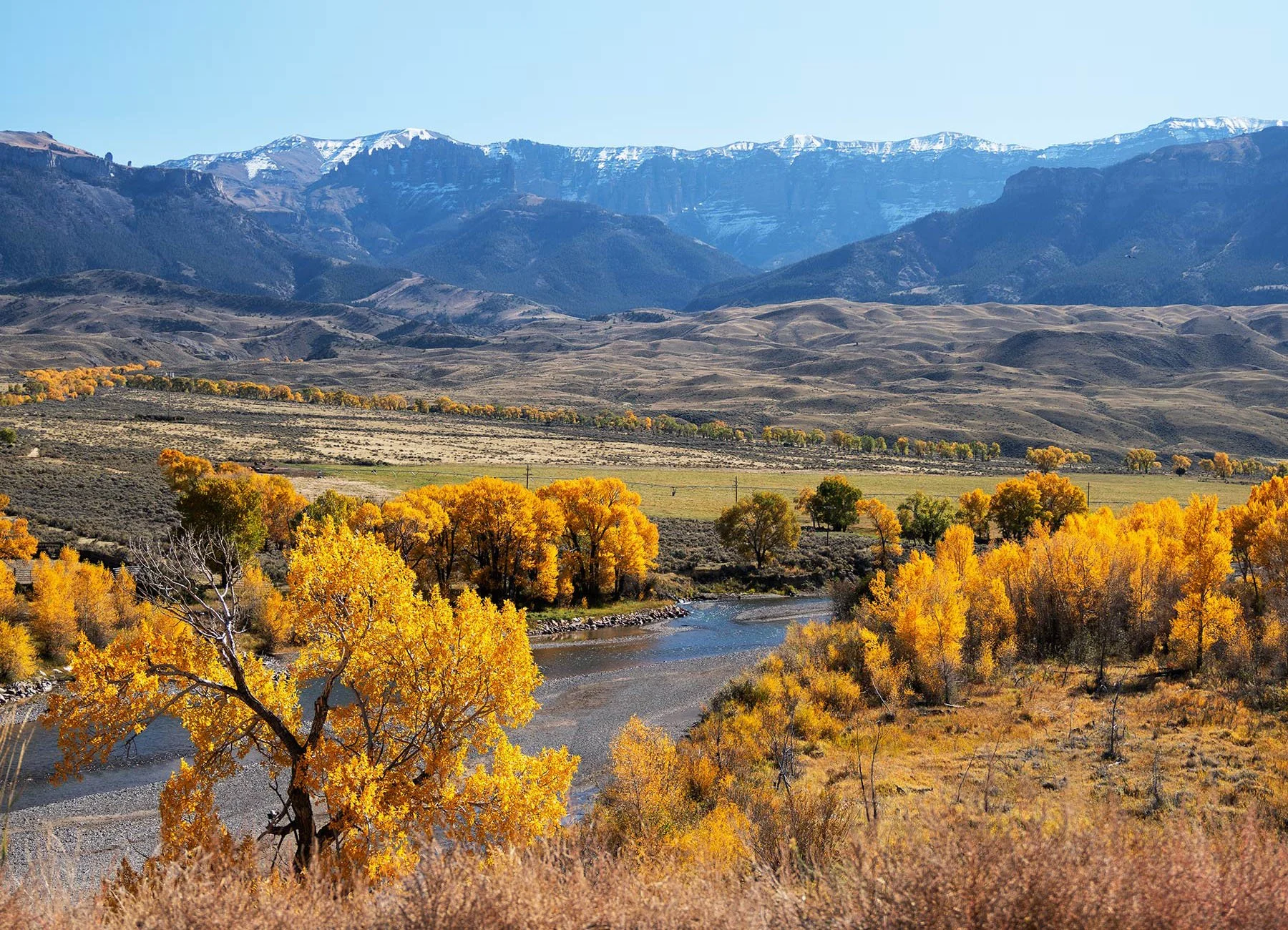 BIO Shirley Lehman — western real estate of wyoming Best Real Estate