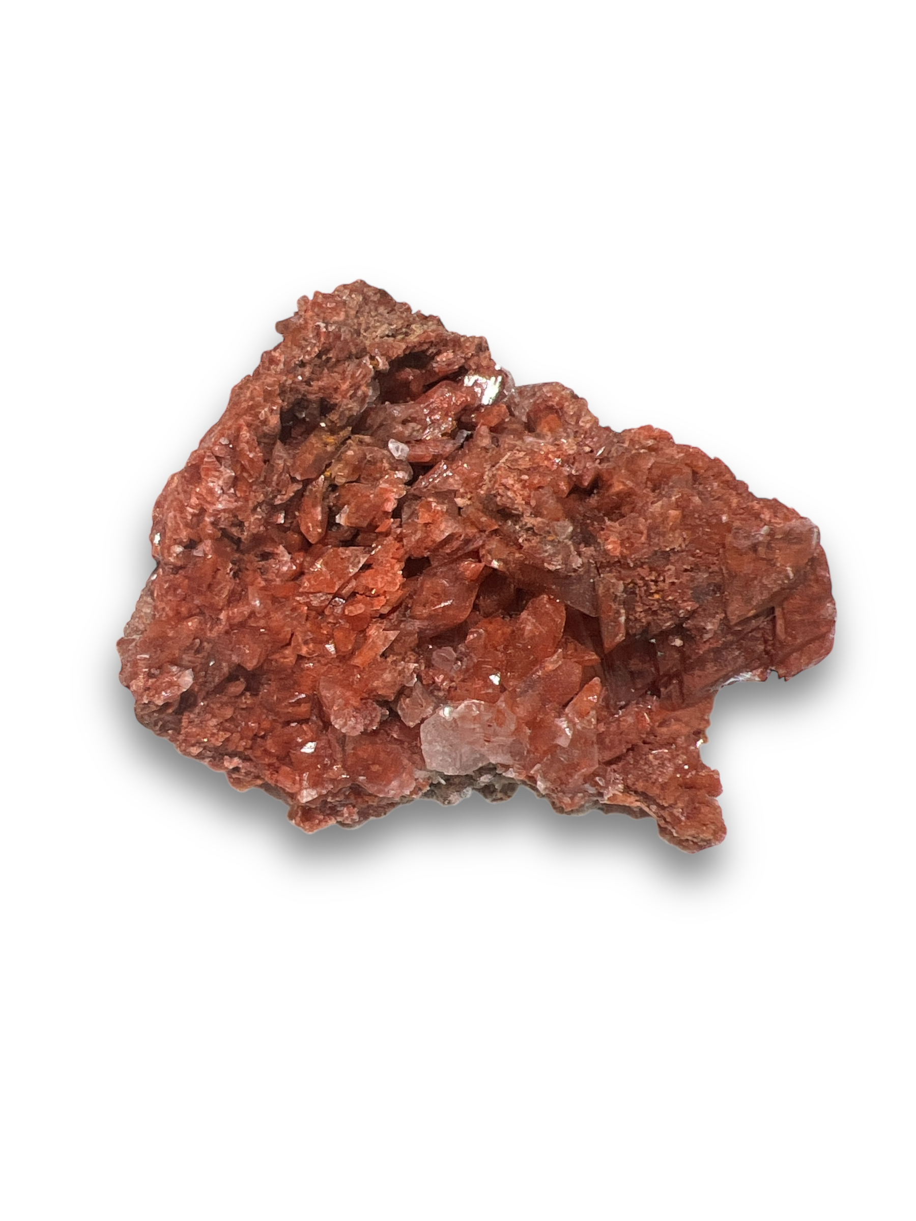 Photoroom_20240903_162738.png