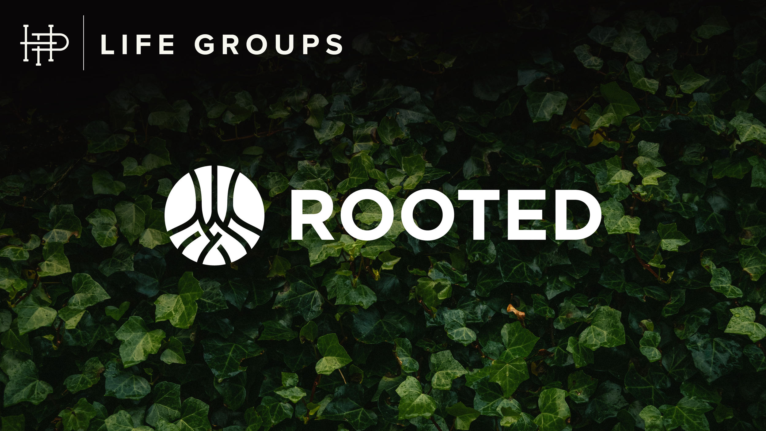  ROOTED  
Wednesdays & Thursdays 
Beginning April 15