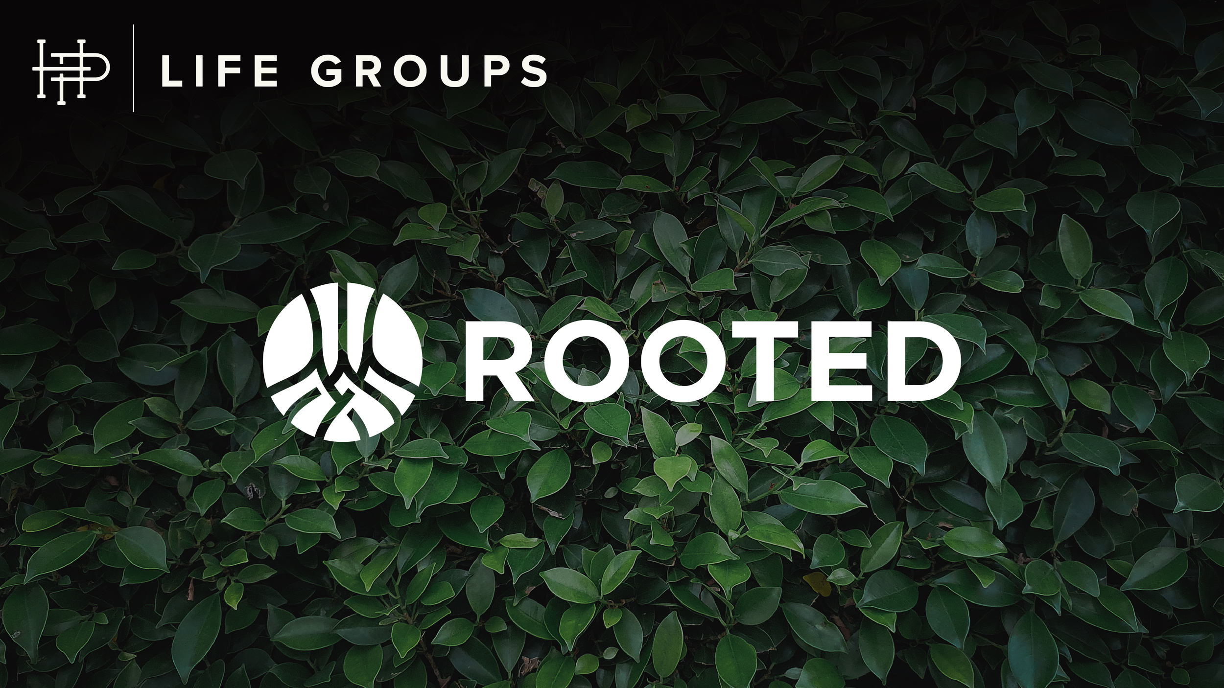  ROOTED  
Wednesdays & Thursdays 
Beginning April 15