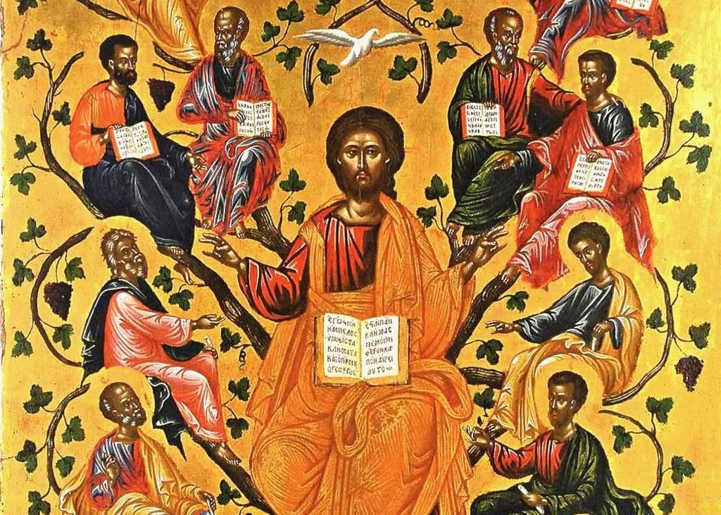 The Vine and the Branches