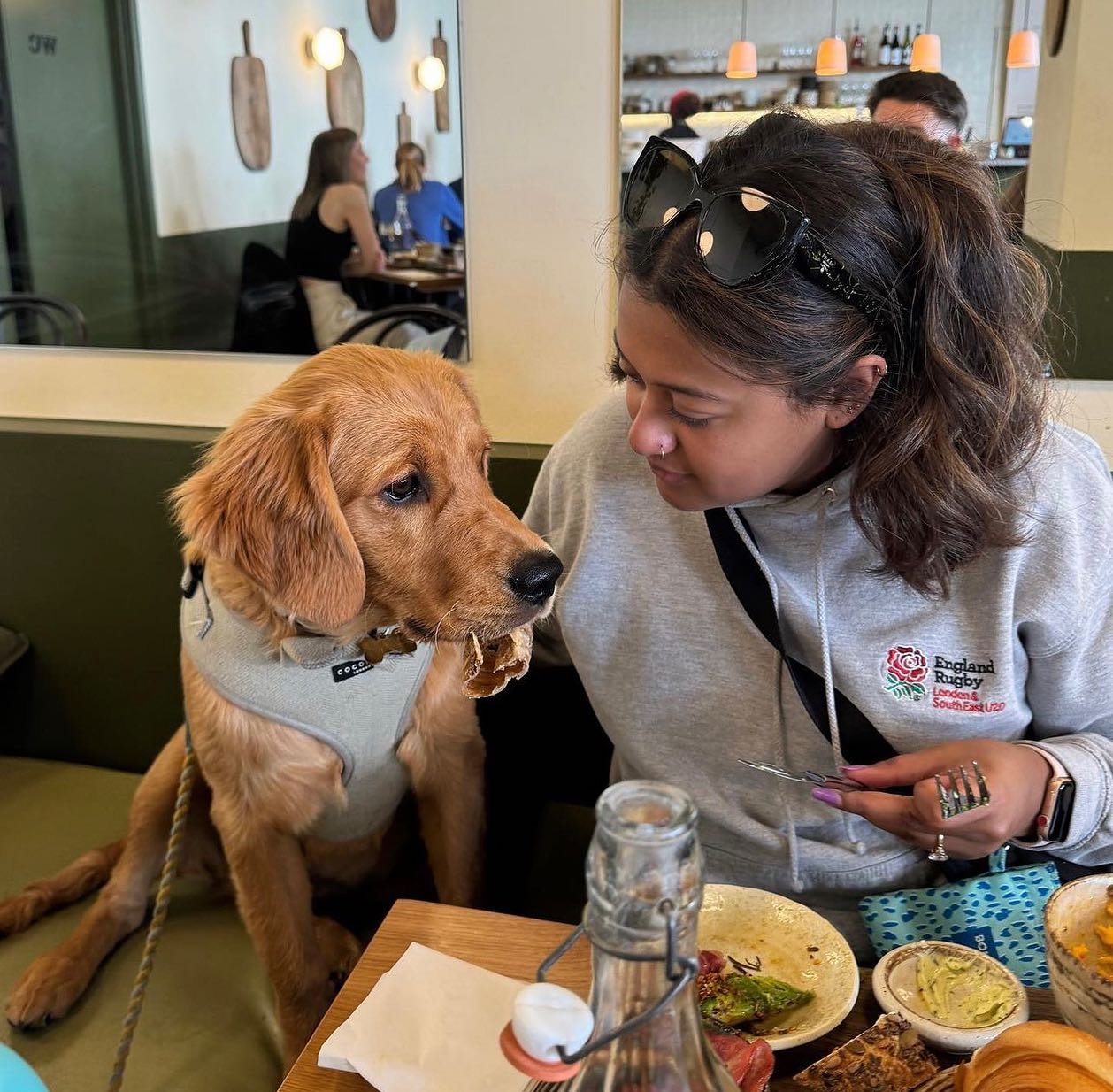 Lunch dates are better with your best furry friend by your side! 🐶🍽️

📸: @sonny_the_goldenboy 
#clapham #willows #dog #doglovers #claphamcommon