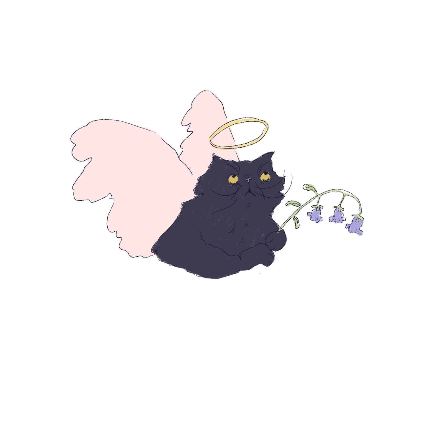 Alexa Hanan Illustration