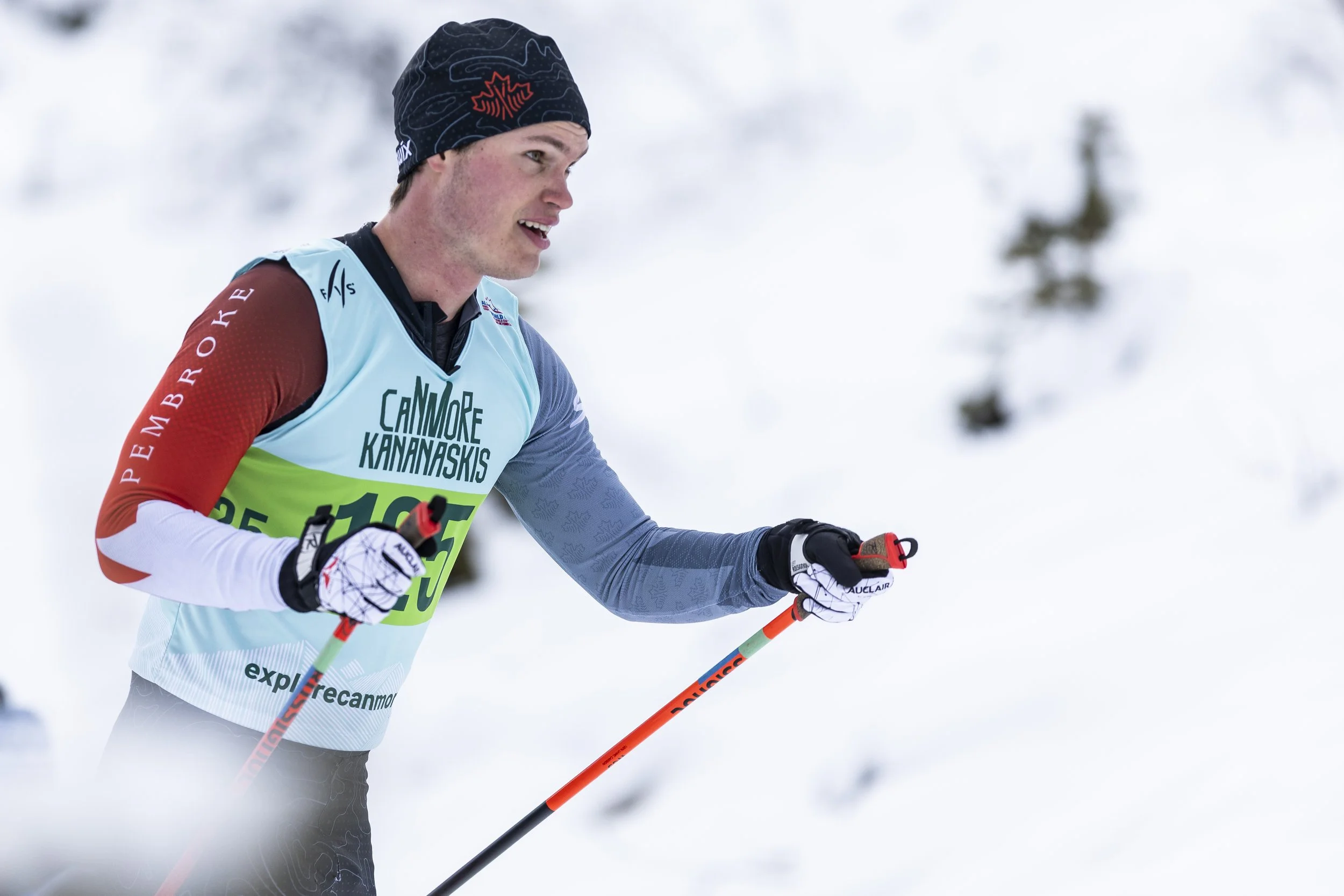 A male cross-country skier in racing gear, including a black beanie, gray and red long-sleeved shirt, white gloves, and a race bib, is skiing through snowy terrain with snow-covered trees in the background.