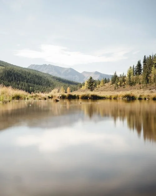 mountain lake with mountains in the background and fall trees around it
