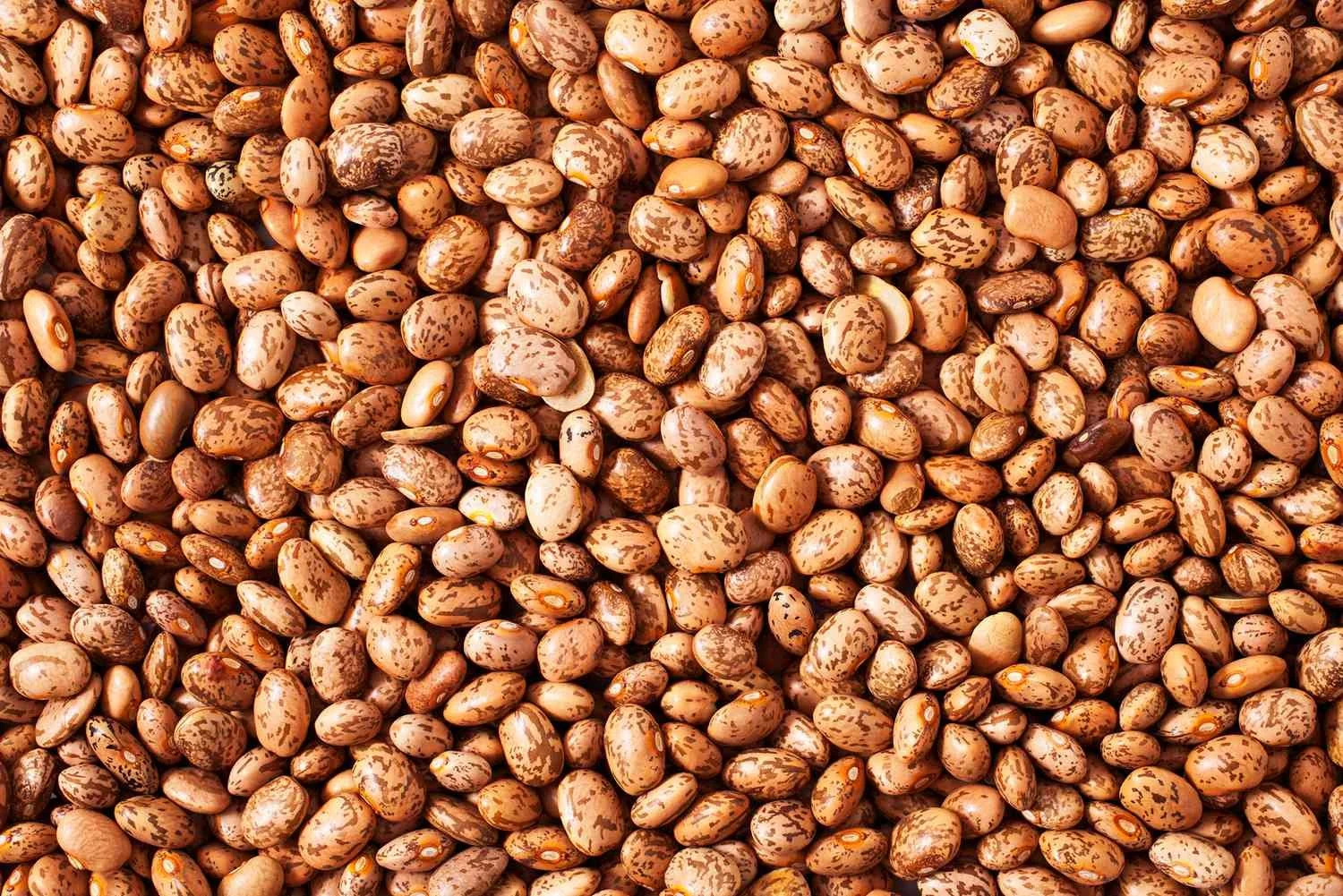 Pinto Beans.jpg