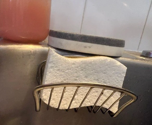 Natural Dish Sponge 2.jpeg