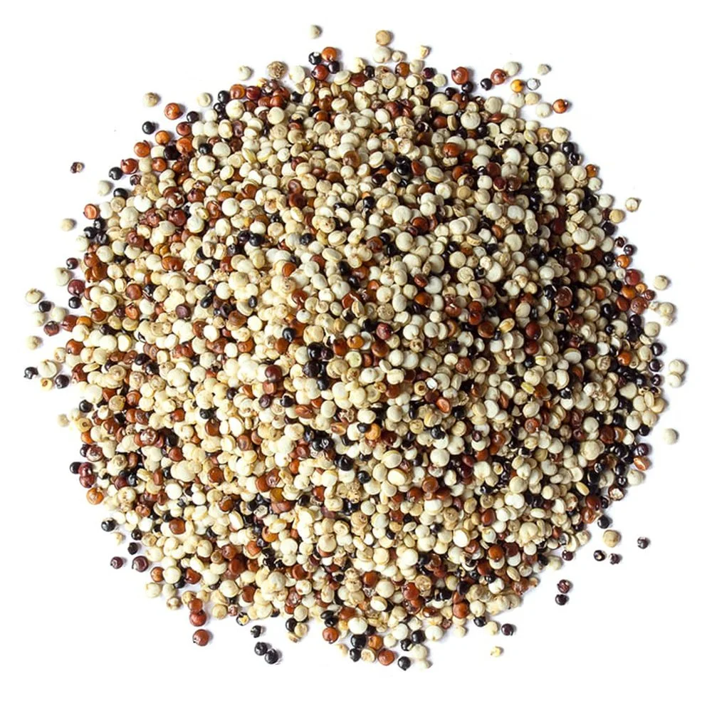 Tri-Colored Quinoa.jpg