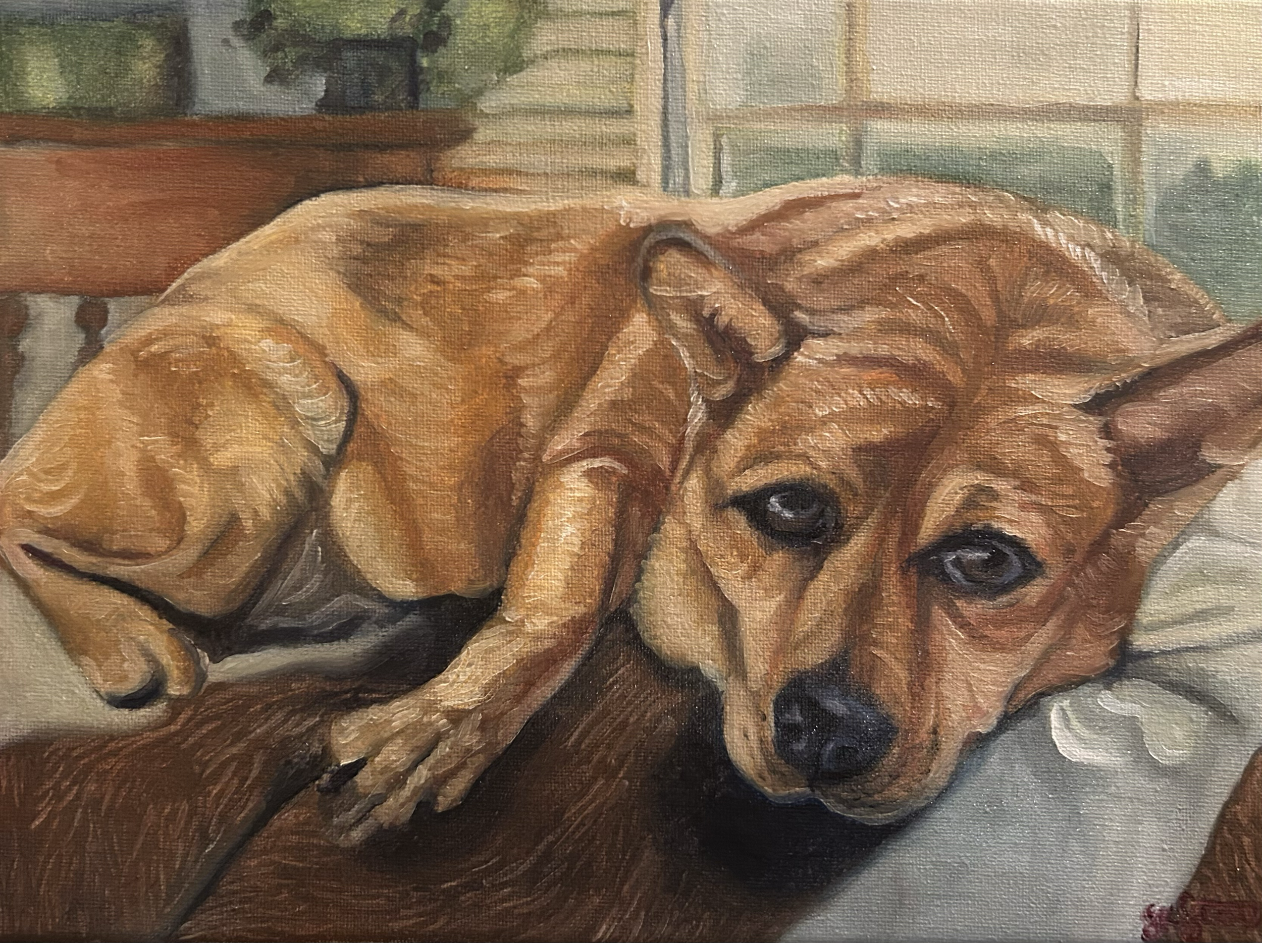 Chloe In Memoriam, oil on canvas. 