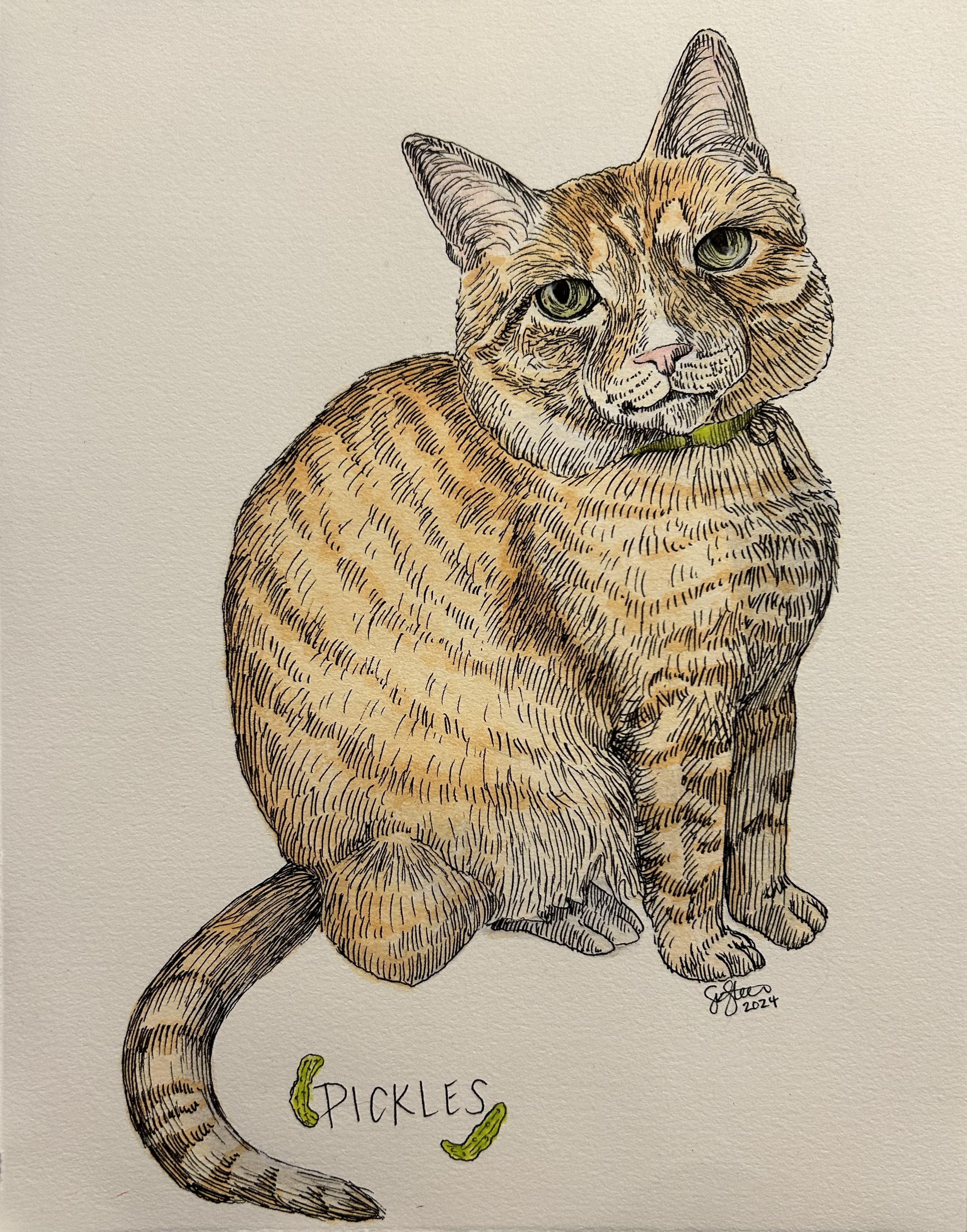 Pickles, watercolor and micron pen. 