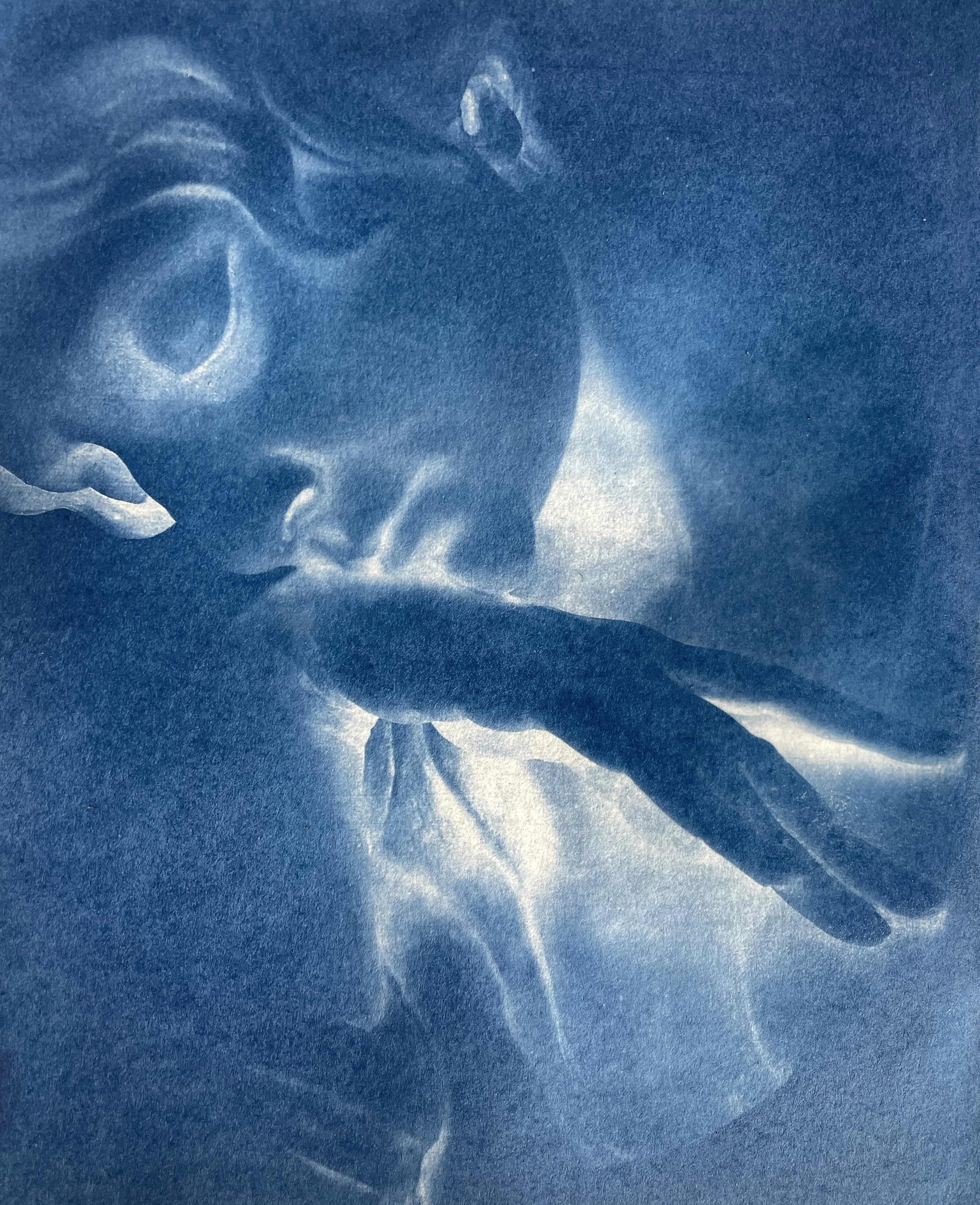 Cyanotype of detail of sculpture by Italian artist Peitro Canonica