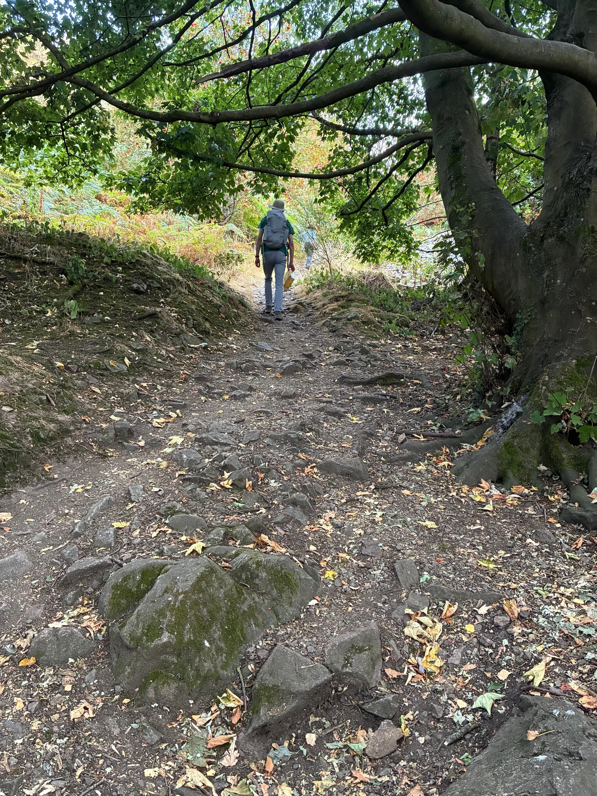 In the footsteps of Walcher