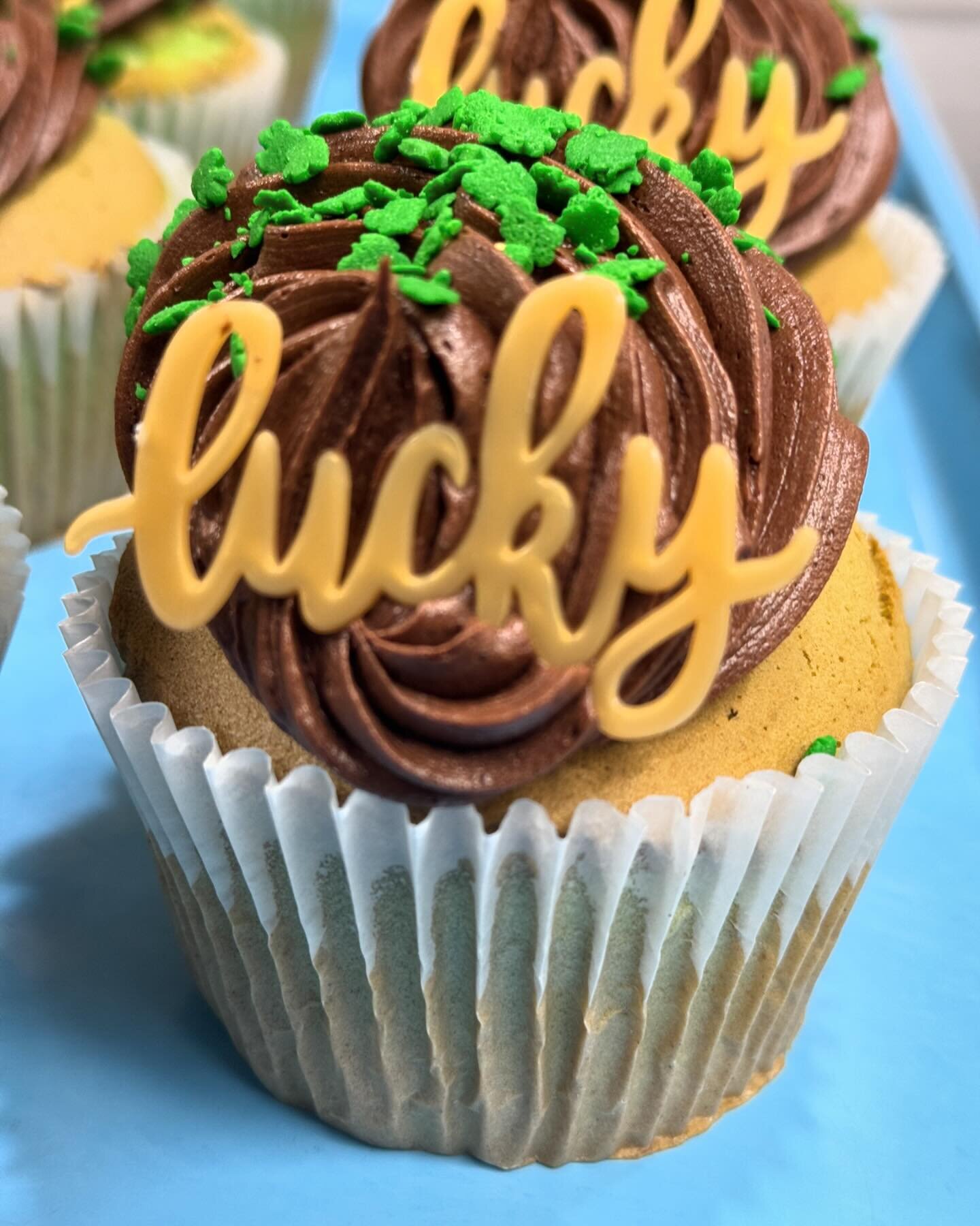 #lucky  Chocolate mint #cupcake  starting today. #grasshopper
