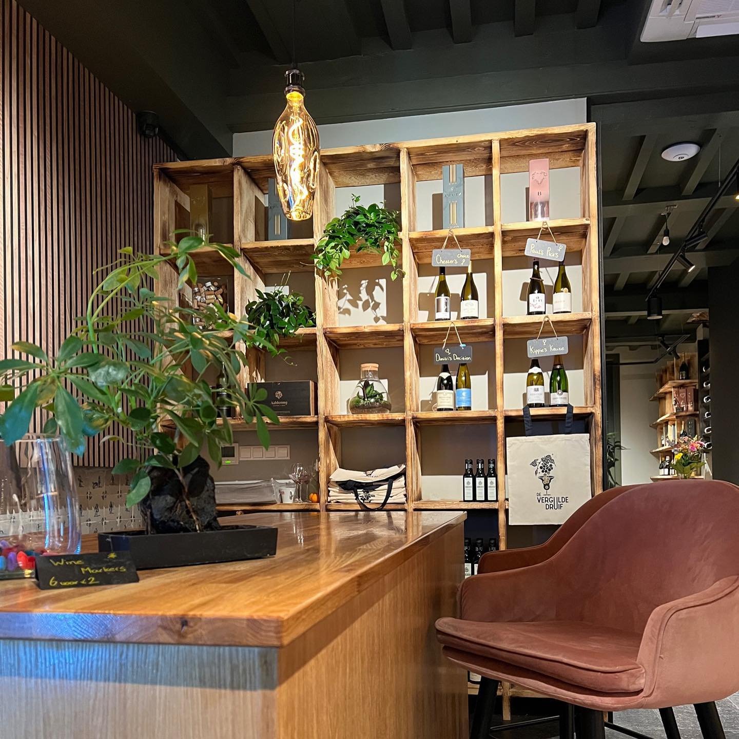 TROTS! Eind vorige week is de Vergulde Druif geopend. Een wijnwinkel met wijnen voor iedere gelegenheid en voor ieder budget. Met prachtige cadeaus en bubbels voor de feestdagen, maar ook met een lekkere fles voor bijvoorbeeld de woensdagavond. Dat b