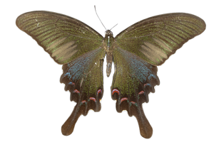 EXSML-090.png