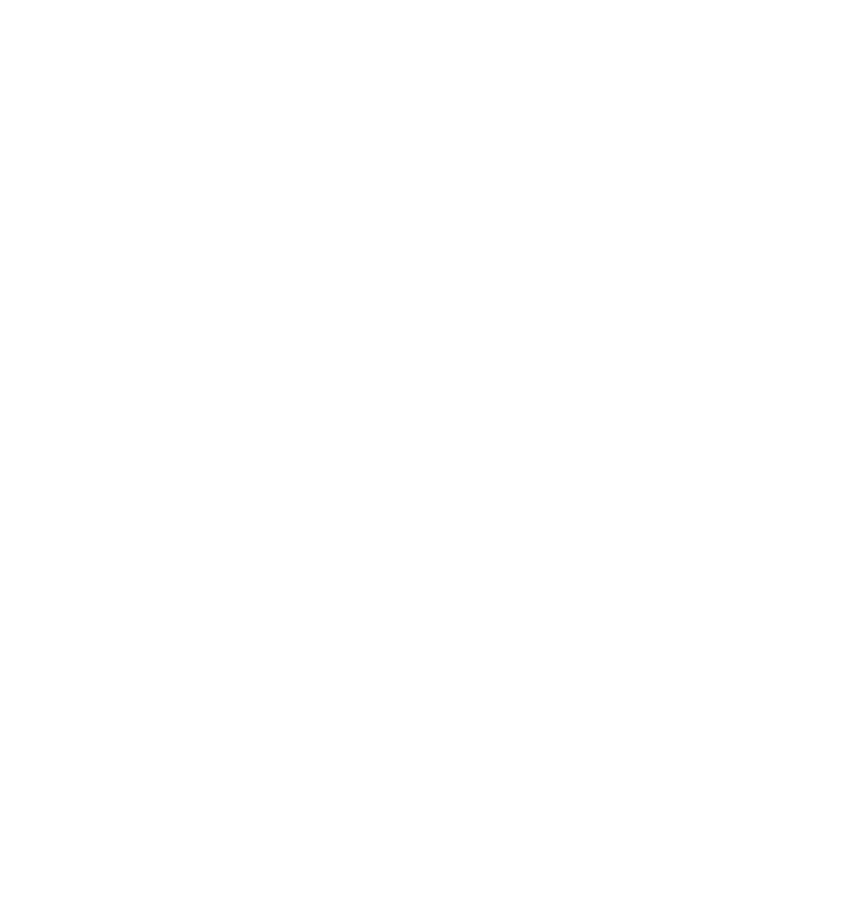 Georgia Muslim Voter Project Georgia Muslim Voter Project