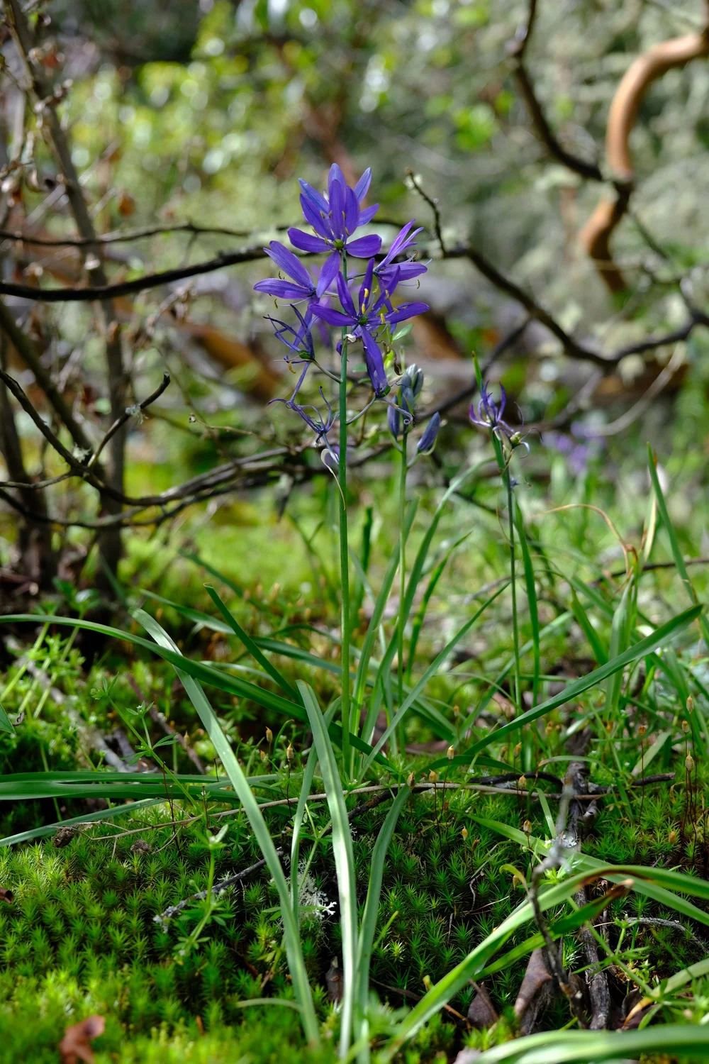 DSCF0218.JPG