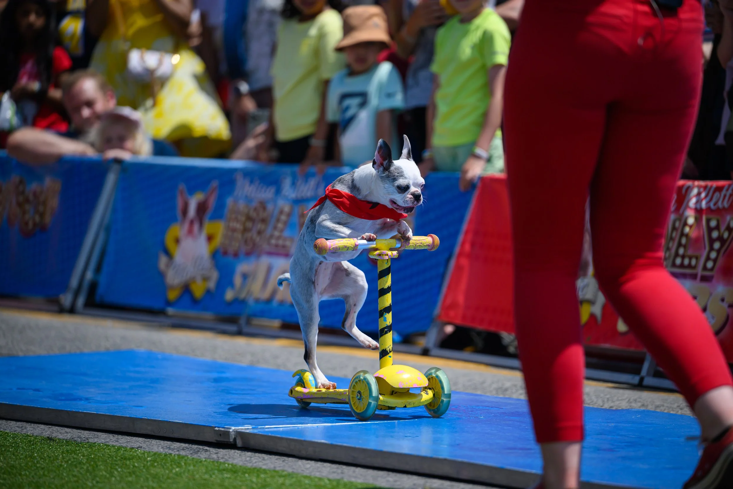 Taste of Lawrence 2025_Wexford BIA_Nick Wons-1785.jpg