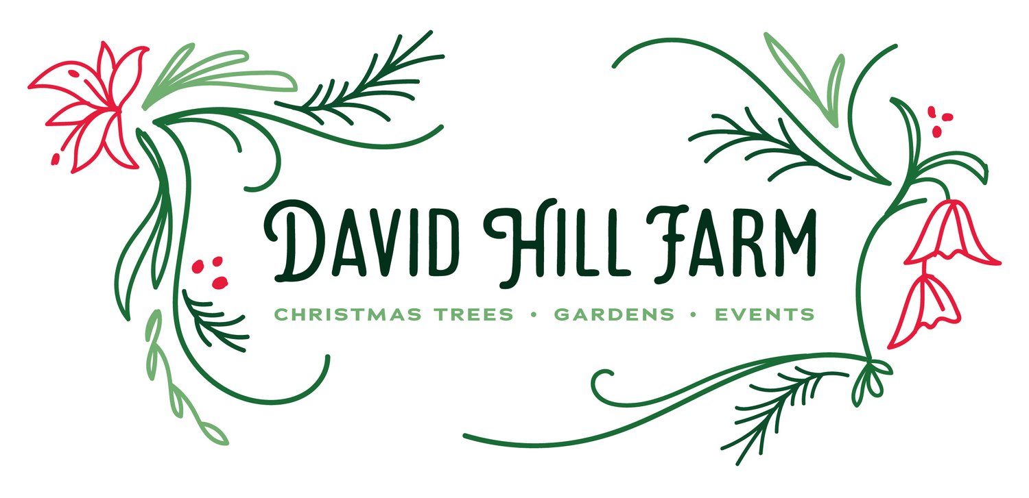 David Hill Farm