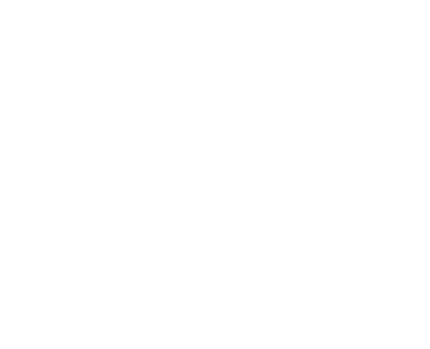 WHY WORK WITH US TEXT BOX