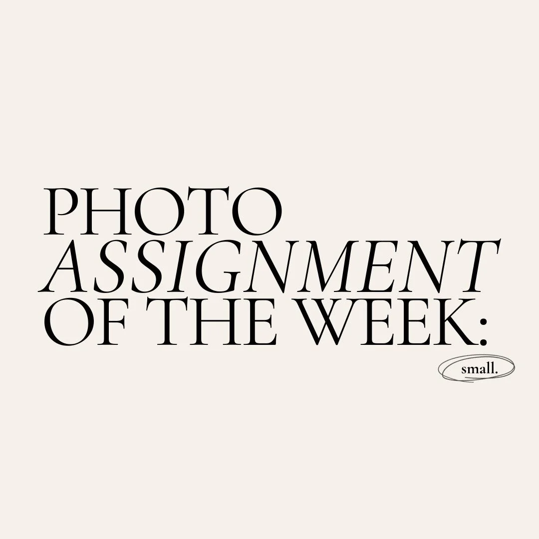 The theme for this week's photo assignment is "small"!

Each week, we decide as a club on a photography prompt for members to follow. When we meet, we then share the photos that we have taken (from that very week or past photos that match t