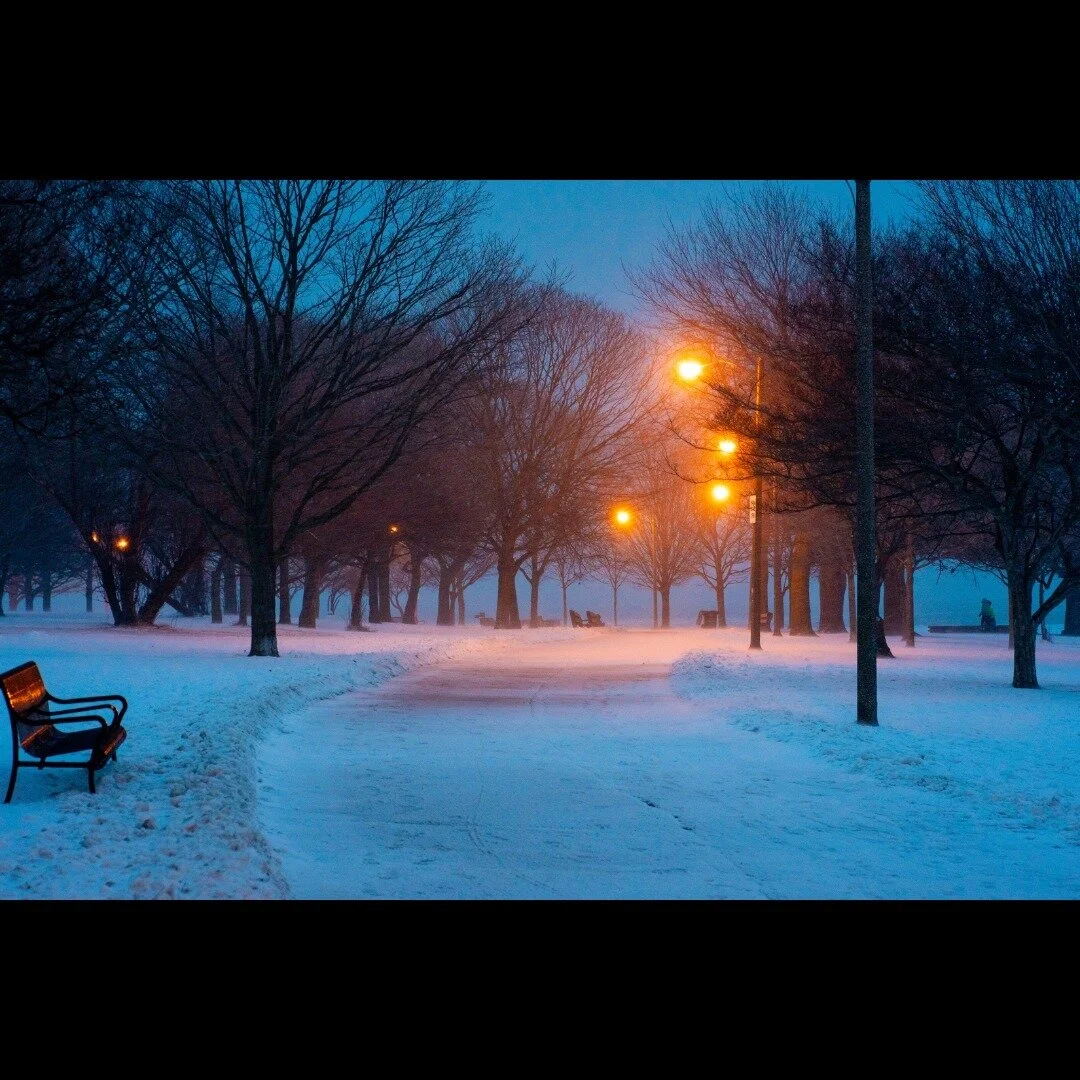 "Cold" photo highlights &mdash; by @yuji.chicago.portfolio!