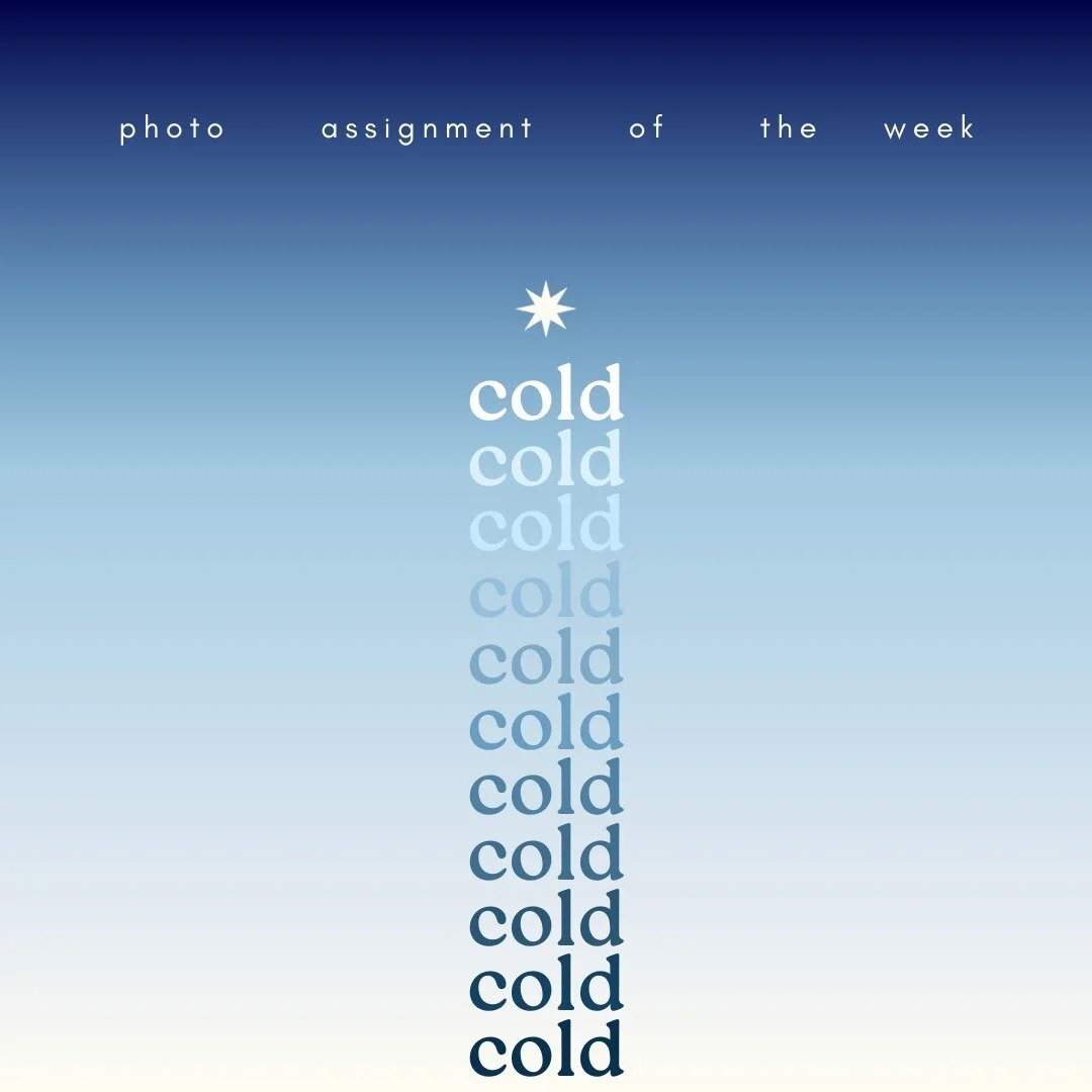 The theme for this week's photo assignment is "cold"!

Each week, we decide as a club on a photography prompt for members to follow. When we meet, we then share the photos that we have taken (from that very week or past photos that match th