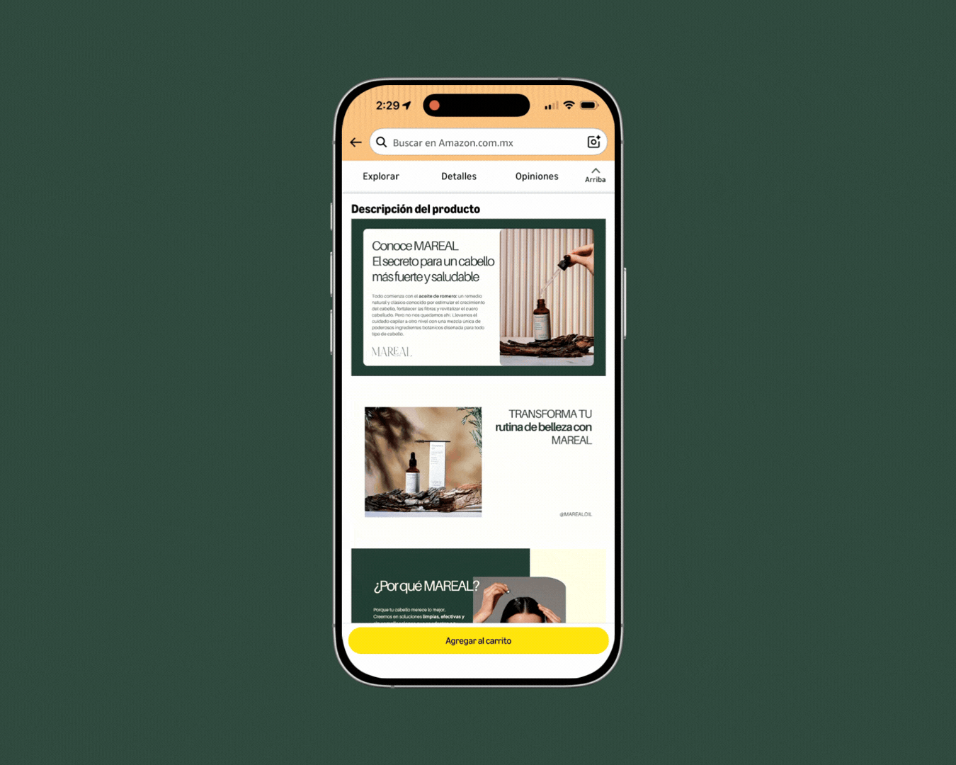 Web Amazon Brand (1).gif