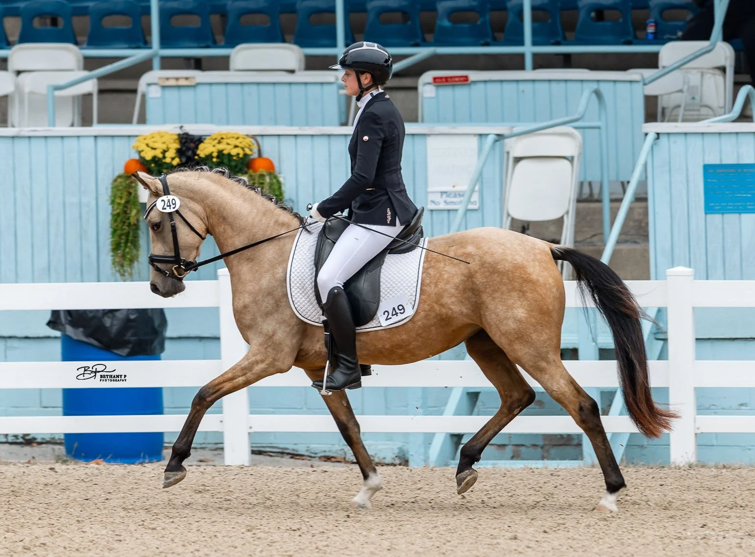 gemmatrotundersaddledevon250924_DAD_249_WEB-7.jpg