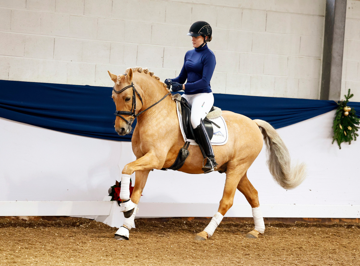 HHsportponies