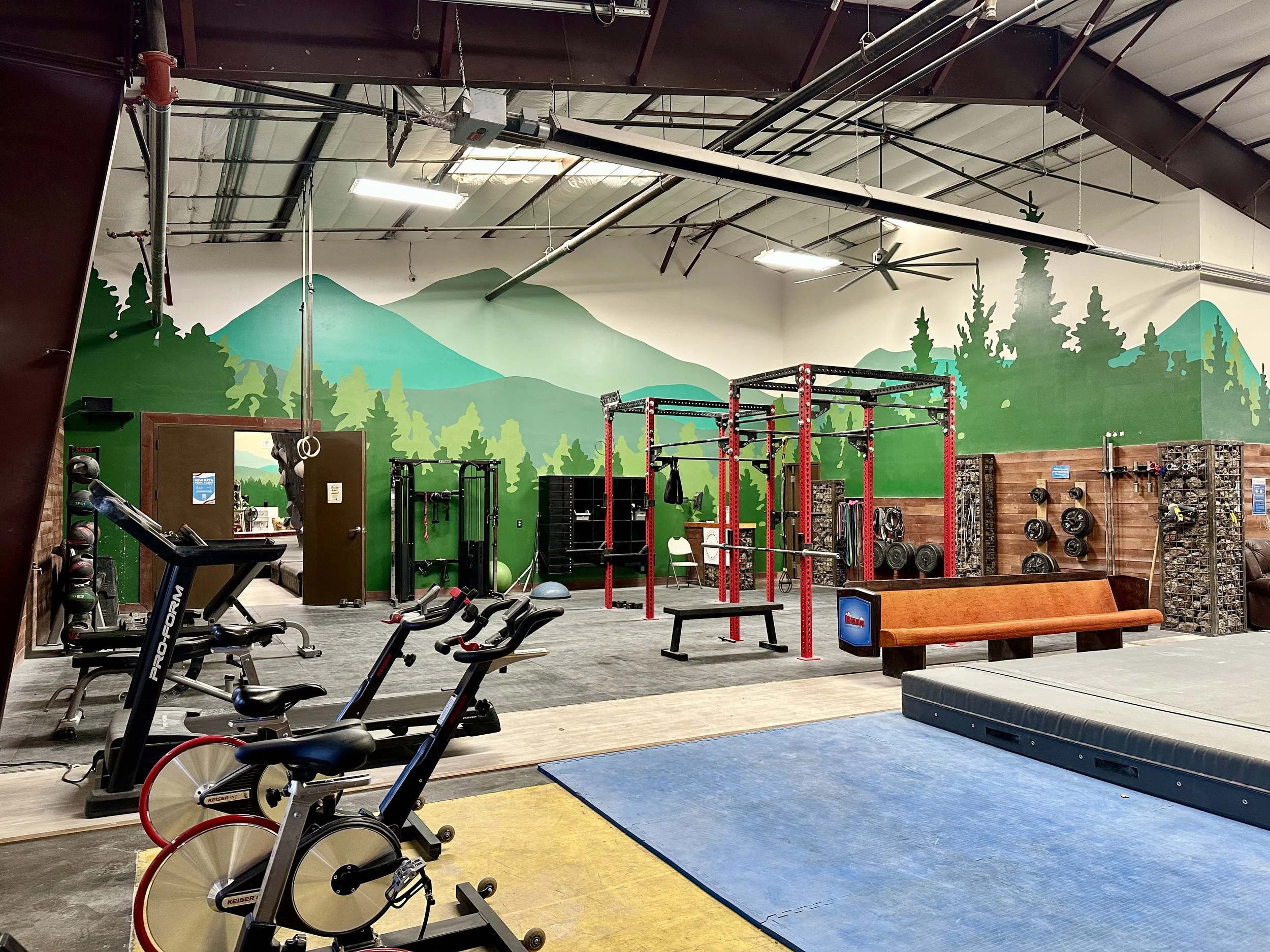 Interior of a gym with red pull-up bars, black and gray equipment, wall mural of green mountains and trees, and exercise machines and weights against wood-paneled wall.