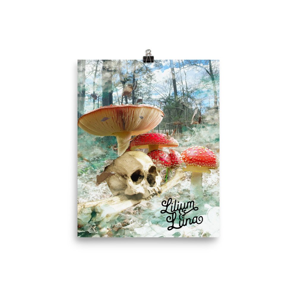 enhanced-matte-paper-poster-(in)-8x10-transparent-63fcd947815a0.jpg