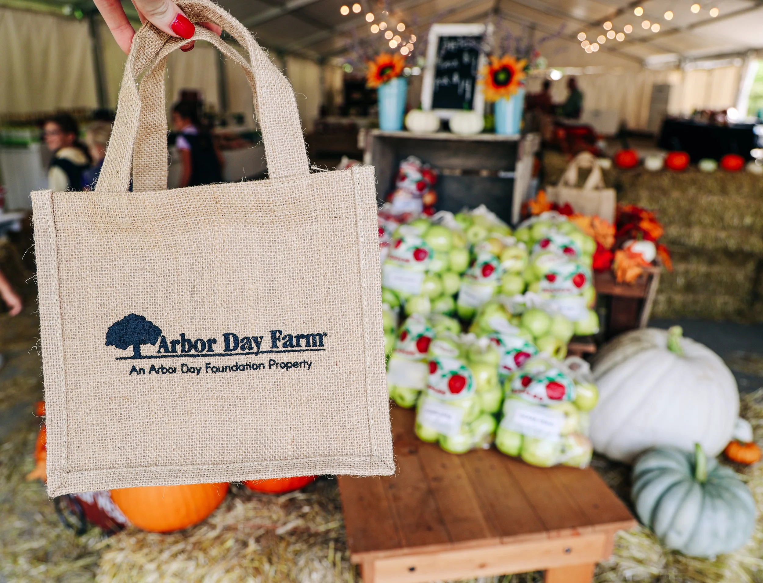 Rooted in Nebraska: The Story Behind Our Arbor Day Farm Ciders