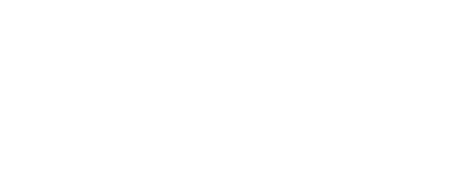 Essential Auto Styling