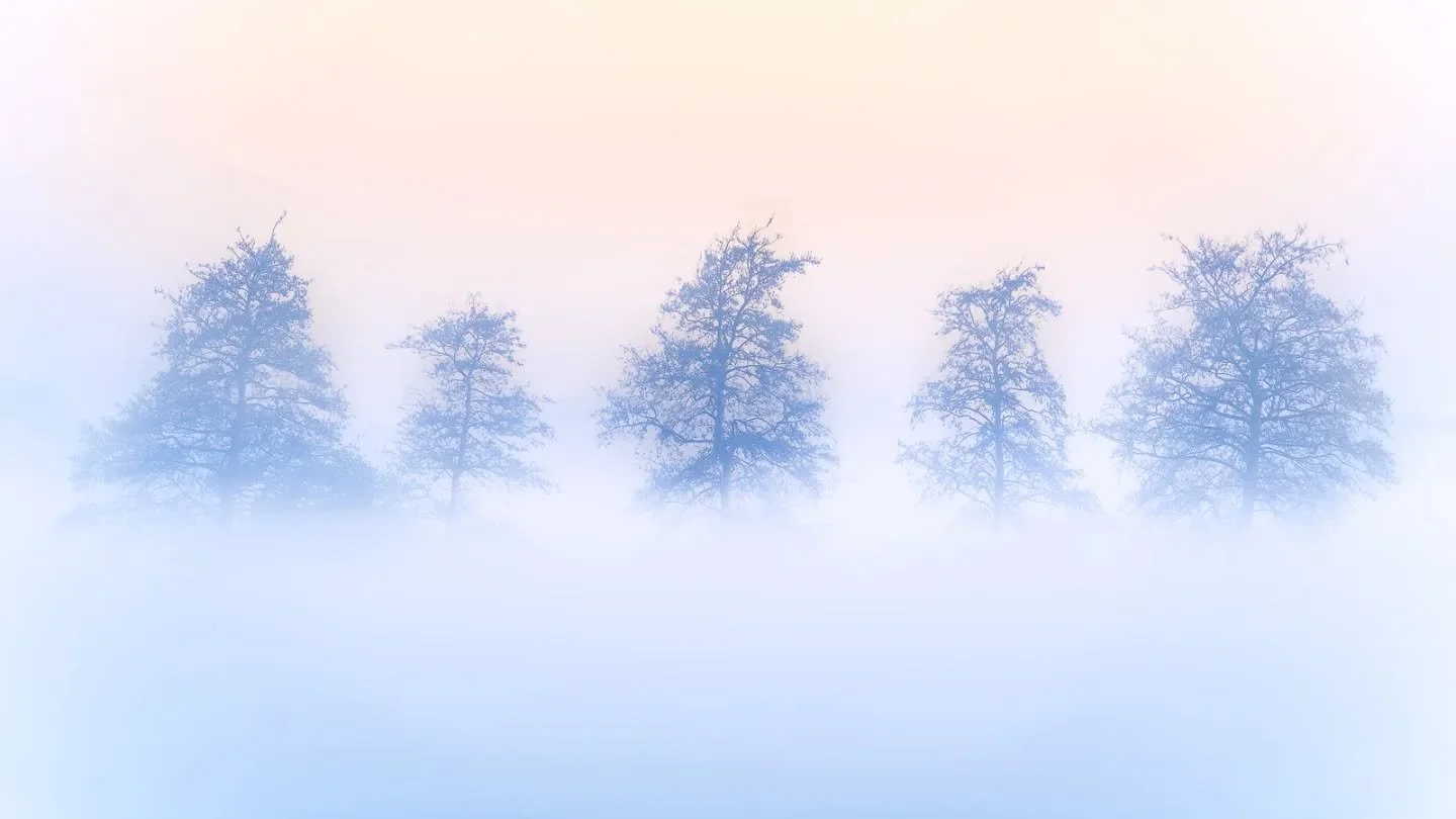 A fleeting moment where morning mist wrapped the trees in silence, and warm light slowly found its way through the fog. Grateful I had my telephoto ready to catch it. 🌫️🪾🌫️

Gear:
@sony.benelux @tamronnederland

#sonynederland #mytamronstory #land