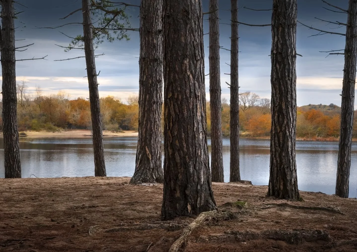 Good morning everyone! Here are a few photos I took during my visit to @nationaalparkzuidkennemerland alparkzuidkennemerland. It was my first time exploring this part of the national park, so I didn&rsquo;t really have a plan&mdash;and I definitely d