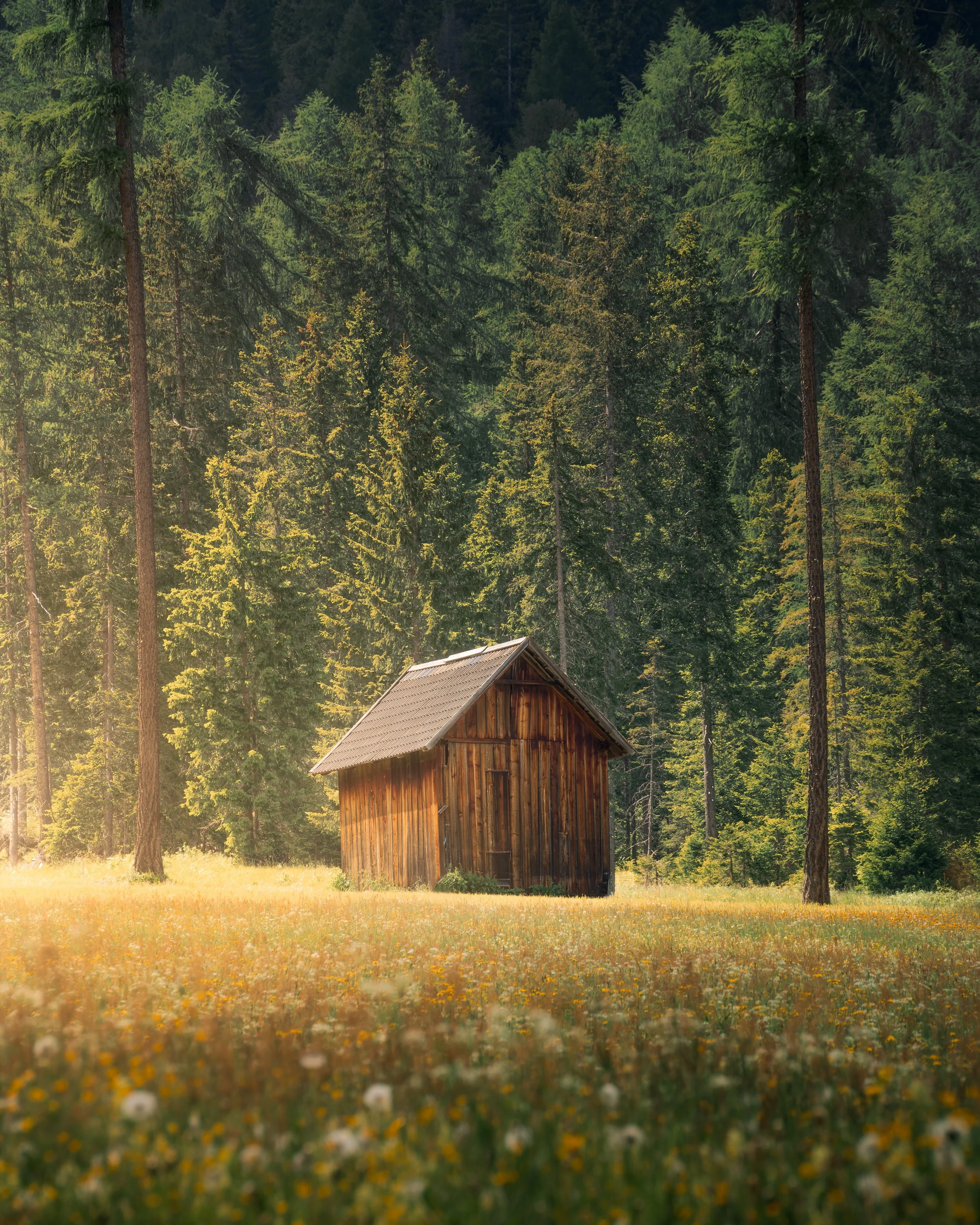 Itailan-Hut--Steffon-Reid.jpg