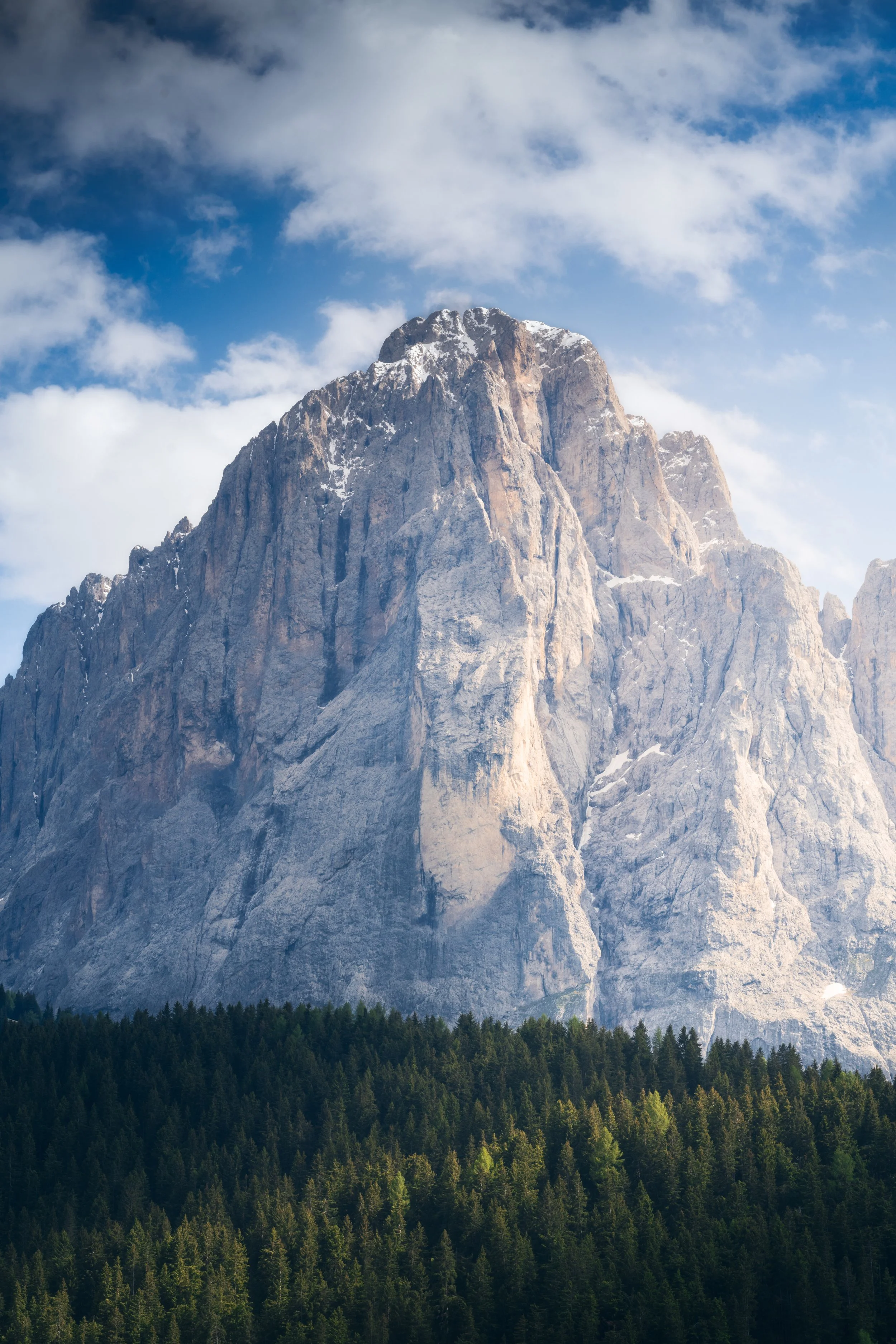 A large snow-capped mountain rises above a dense forest of green trees, with a partly cloudy sky in the background.