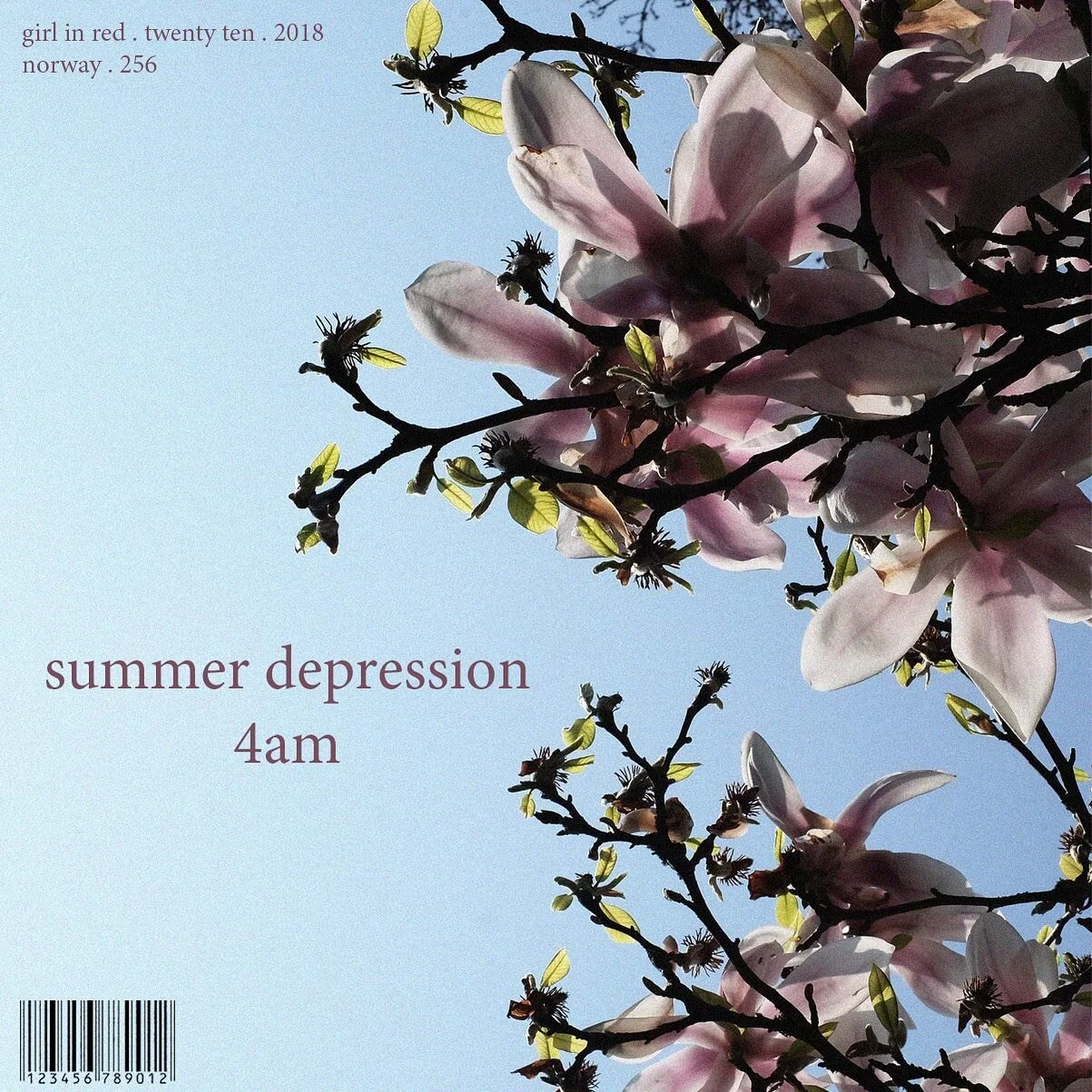 &lsquo;summer depression&rsquo; album cover (backside) -  inspired by @girlinred