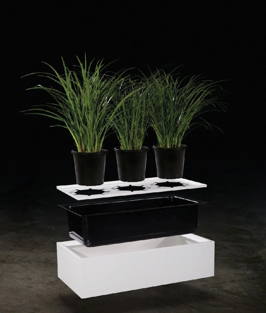 Three potted plants with long green leaves on a white and black industrial stand with a gas stovetop, against a dark background.