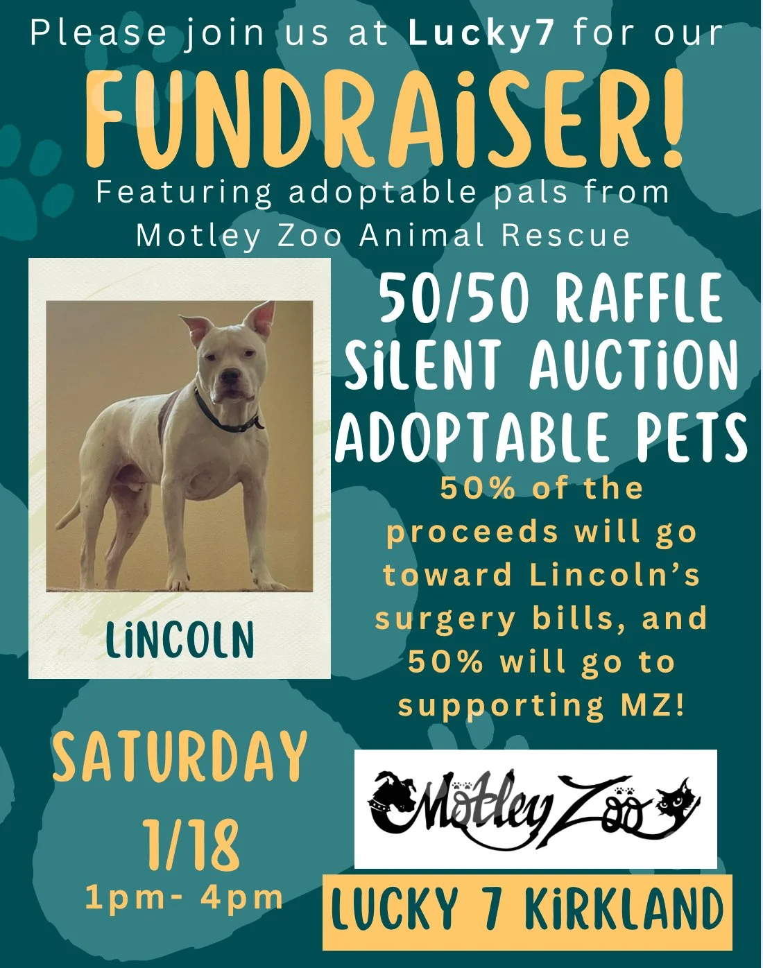 Flyer for a fundraising event at Lucky 7 Kirkland featuring adoptable pets from Motley Zoo Animal Rescue. The event includes a 50/50 raffle, silent auction, and adopts pets. A photo of a white dog named Lincoln is on the flyer, with details about the date, time, and location of the event.