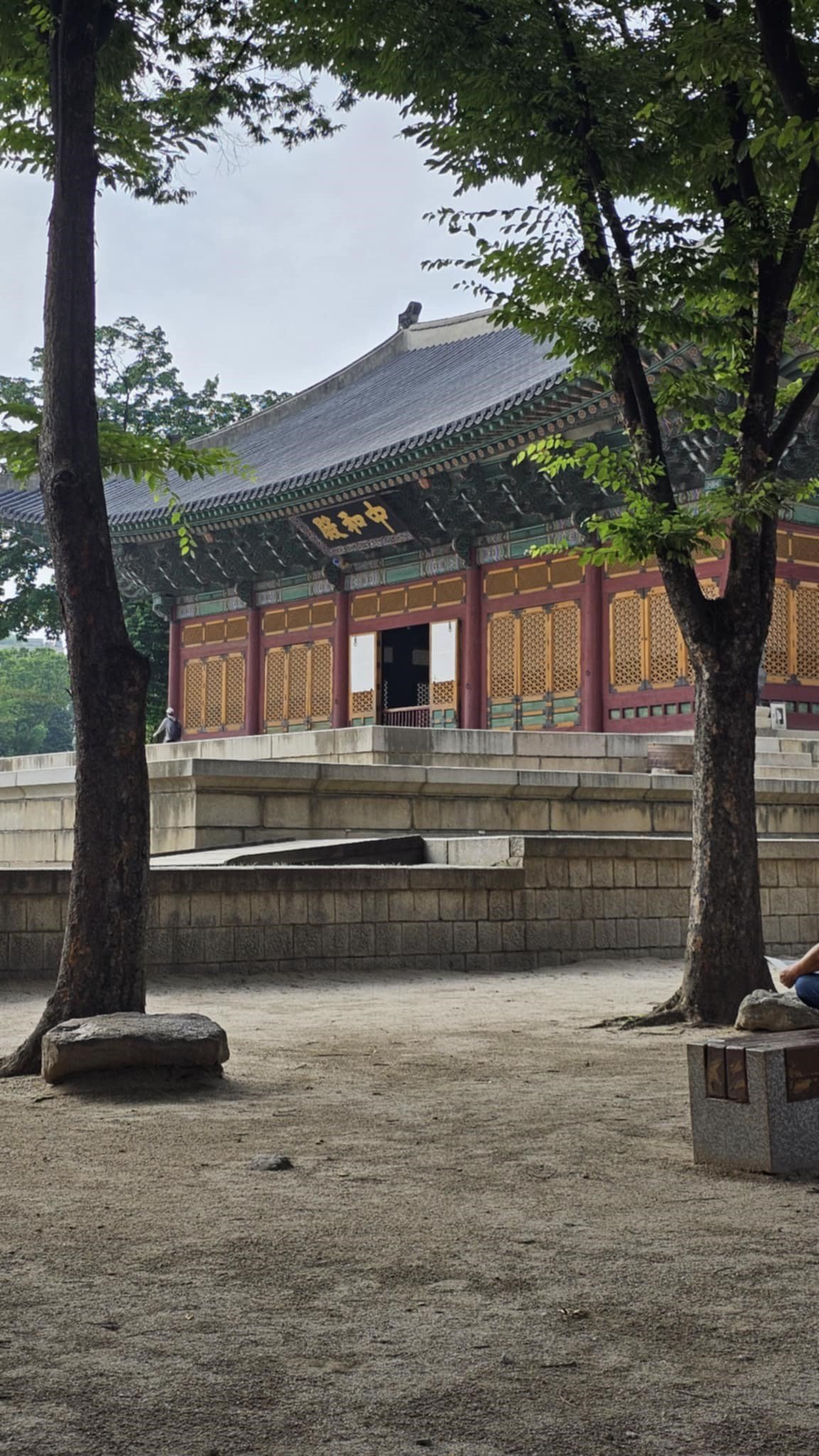 d4ecb6ad-311c-4559-bbd1-8dae764ae71a.jpg