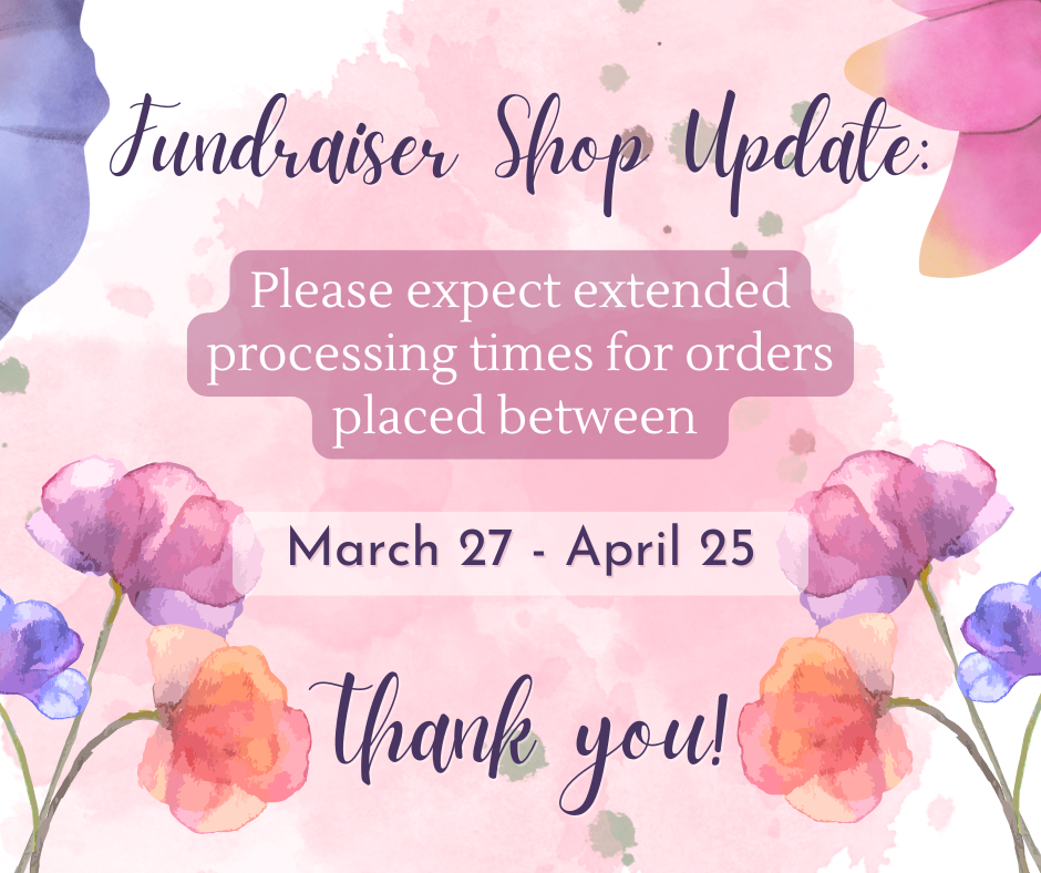 spring website.png