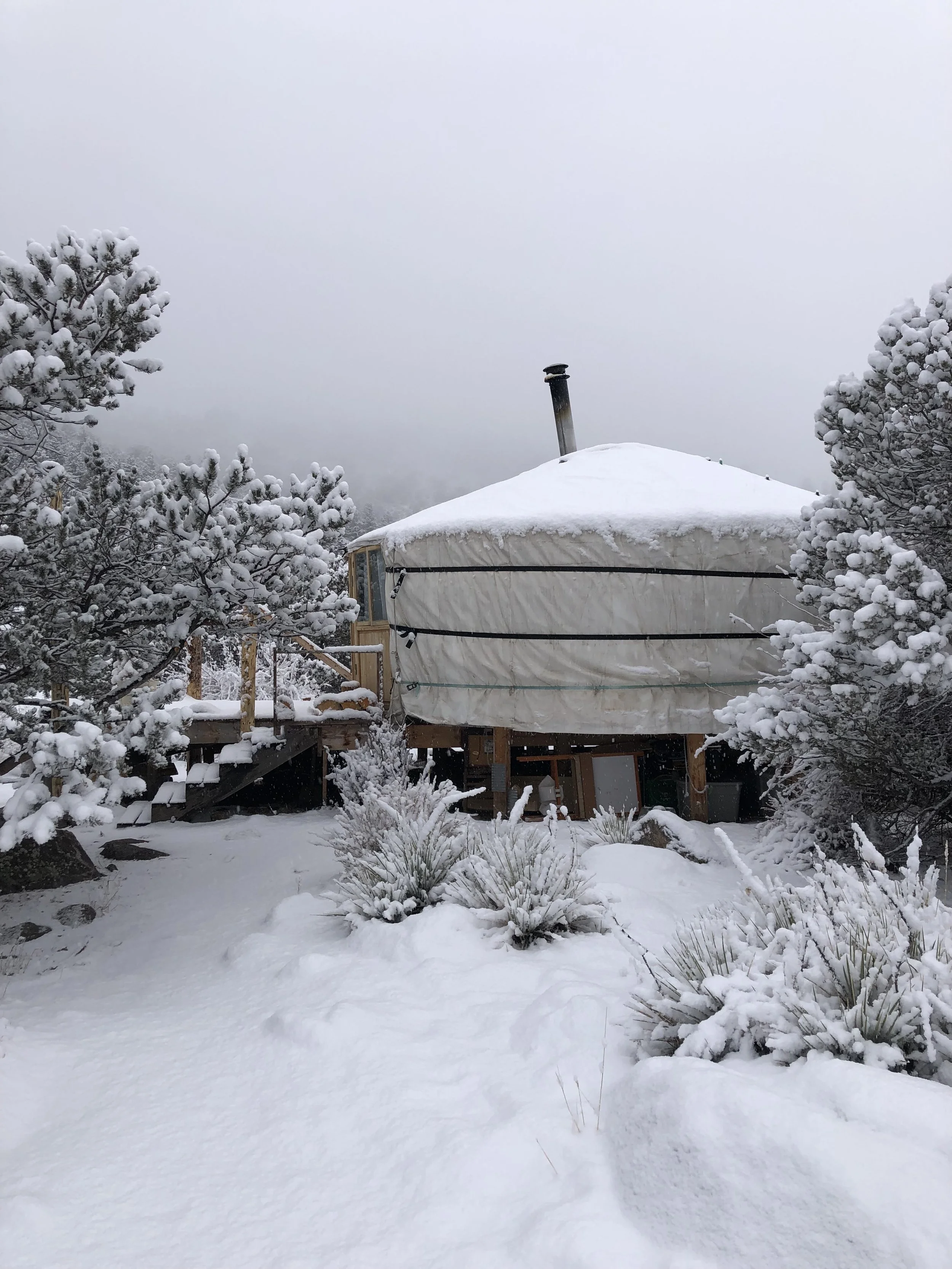 Yurt