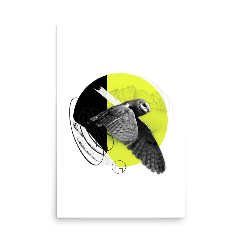enhanced-matte-paper-poster-(in)-24x36-front-63b86c7637f25.jpg
